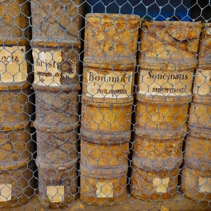 Literatur zur Philosophischen Praxis