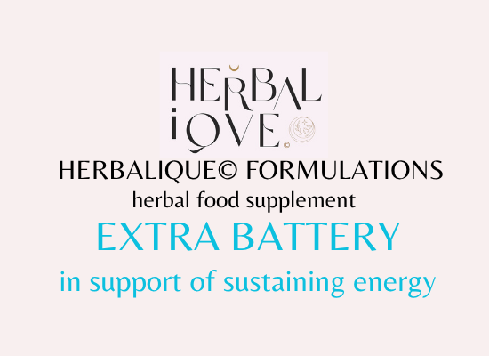 Extra Battery - in support of  sustaining energy