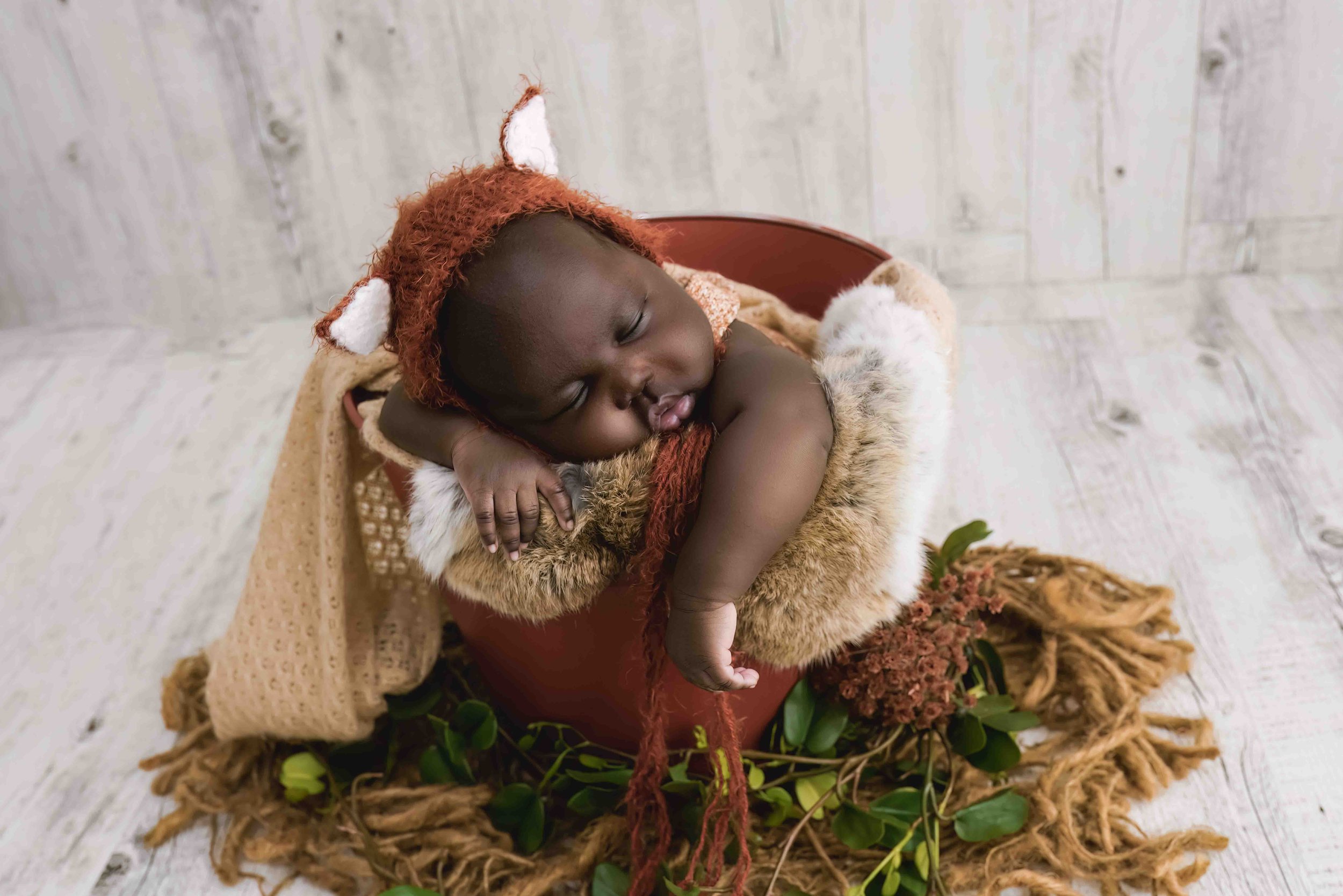 Newborn Baby in bucket and fox hat