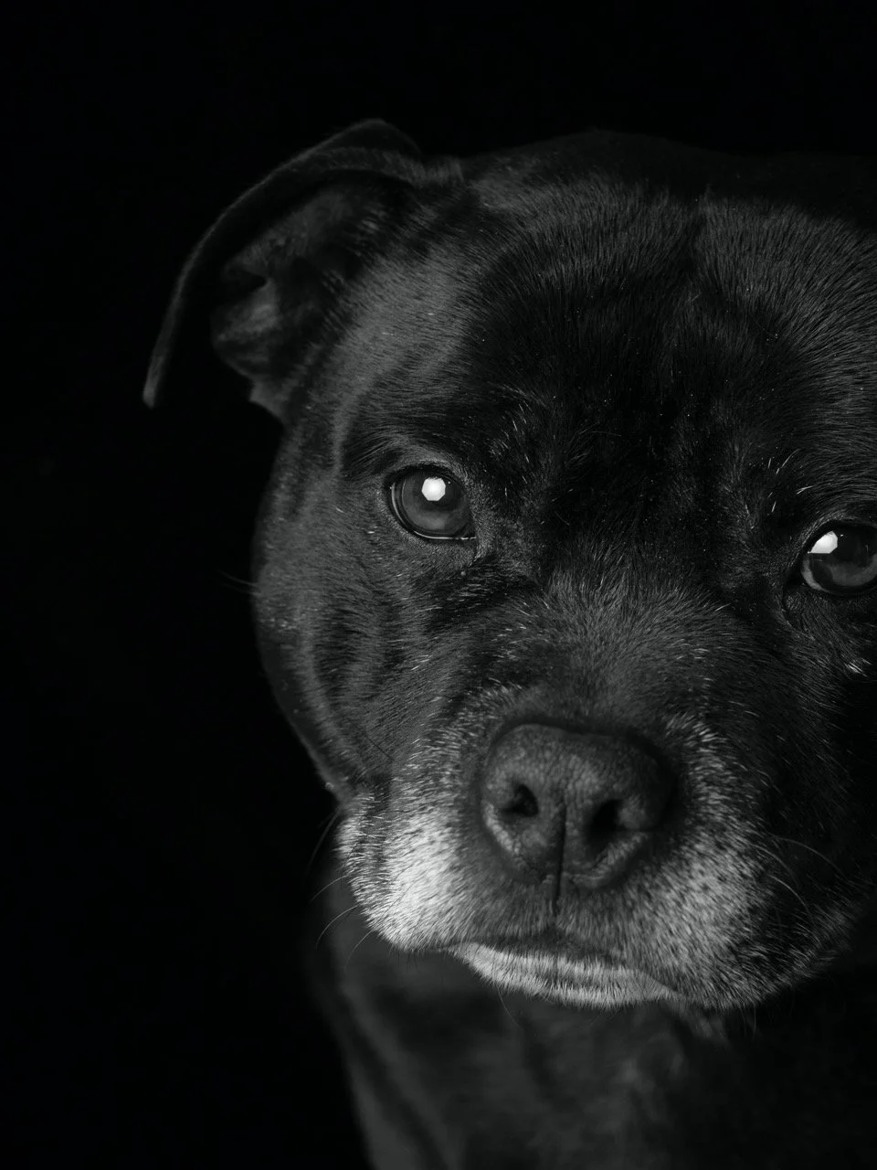 Adelaide Portrait Photographer, Photography