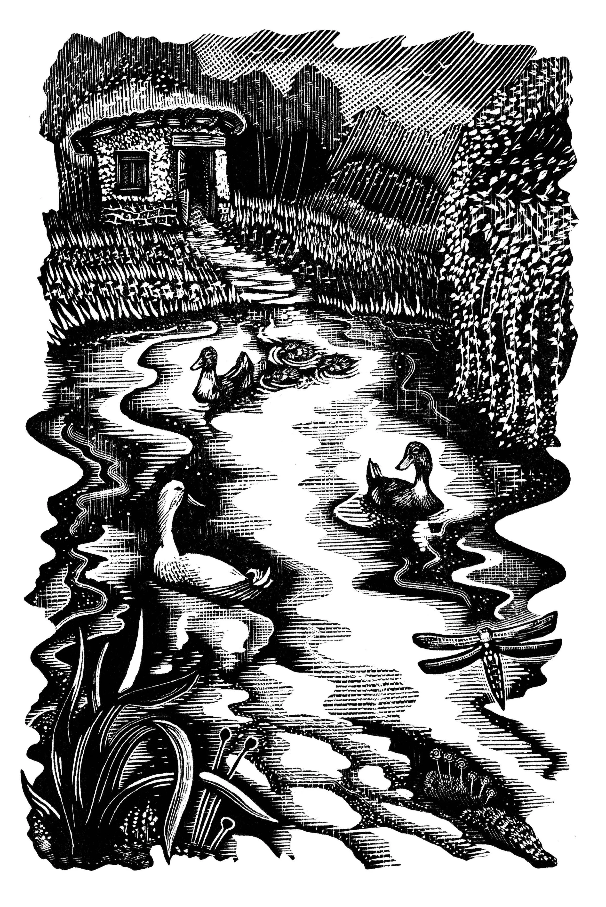 Duck-Pond.jpg