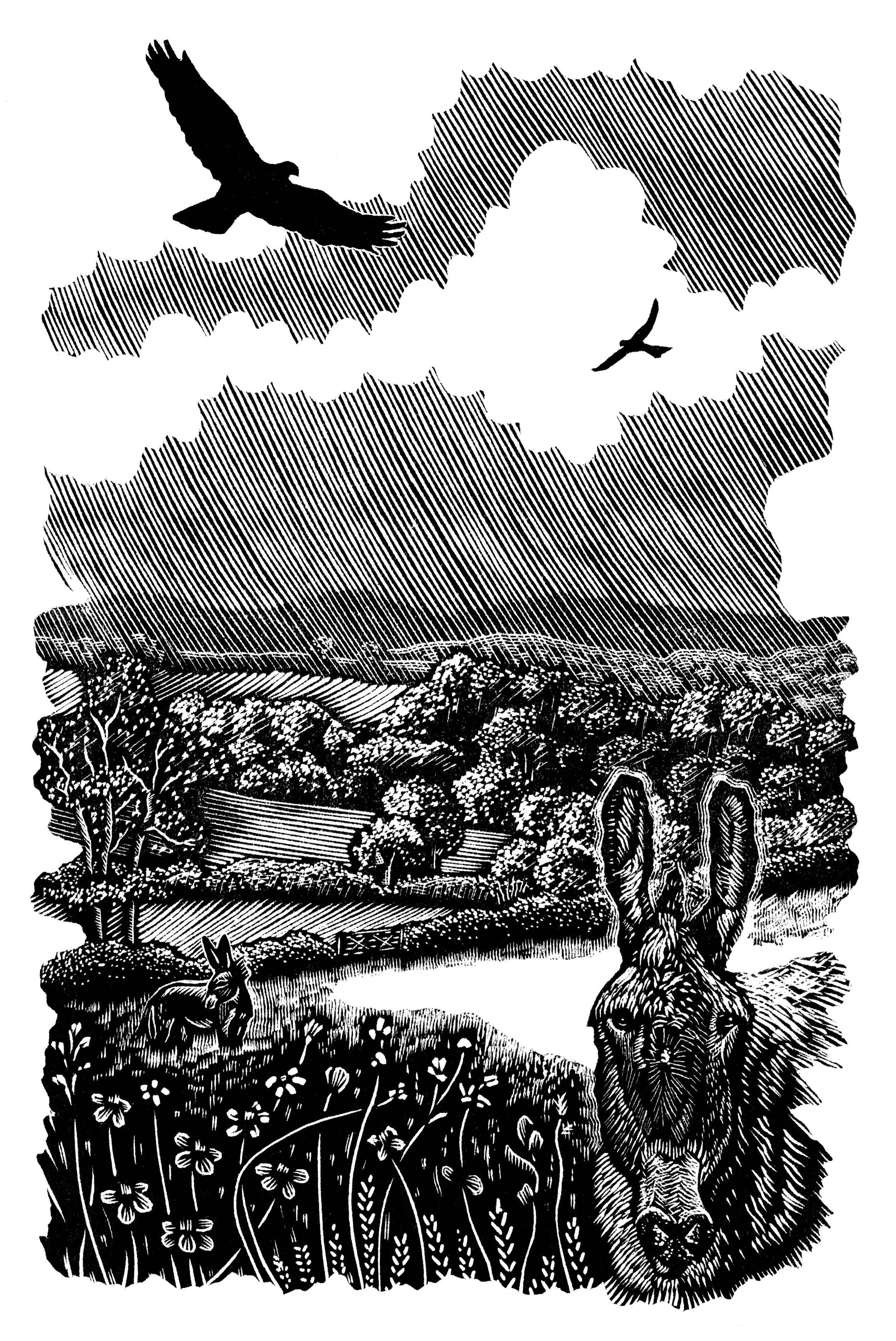 Donkey-and-Dartmoor.jpg