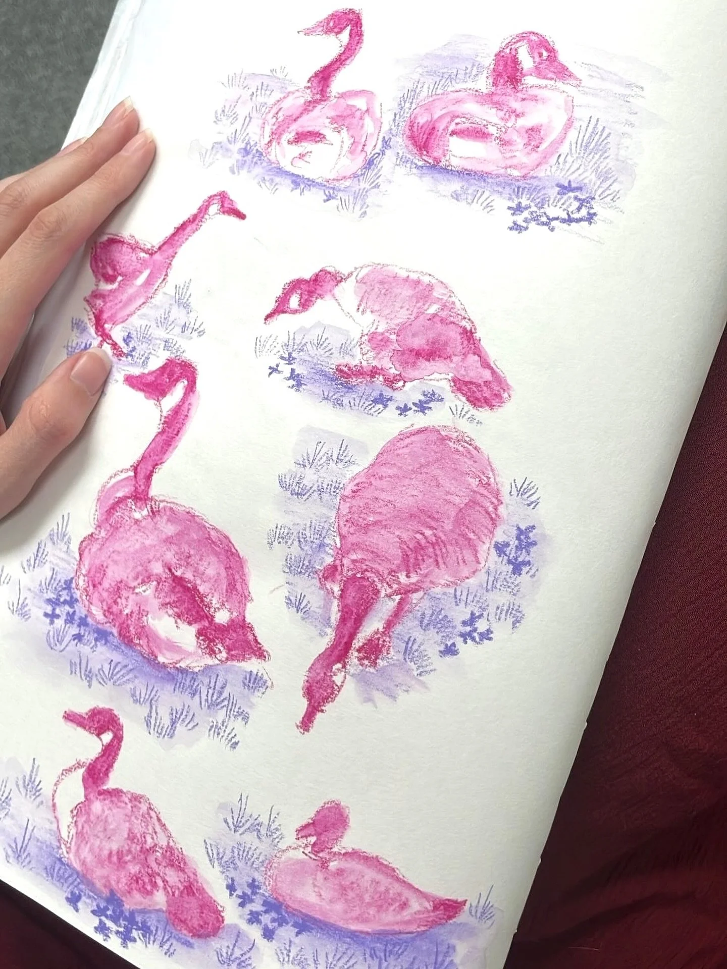 Sketching geese in Neocolor II ❤️

@carandache 

#neocolor2 #sketchbook #animalsketch #goose #birdart #bird #sketch #animalillustration