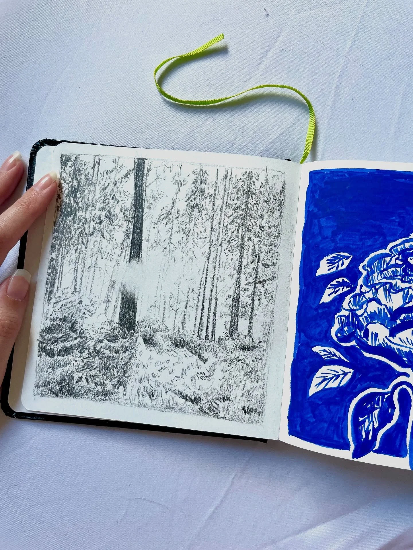 I&rsquo;m still working in my sketchbook. 📘

#sketchbook #nature