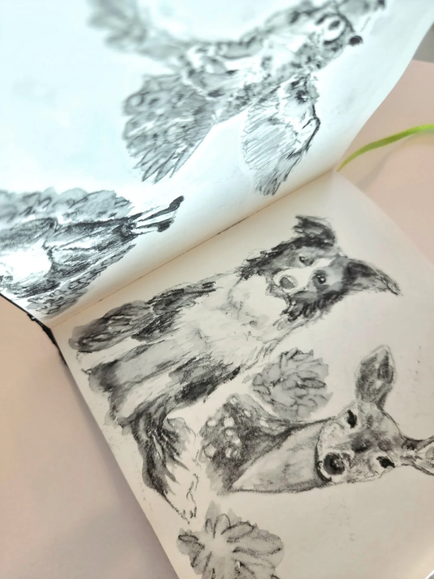 I have quite a lot of sketchbook spreads to share. I am so drawn to forests and nature. Here's an owl, a badger, a border collie and a deer. 

Made with @carandache neocolor II

References are likely from Pinterest or Unsplash. 

#sketchbook #neocolo