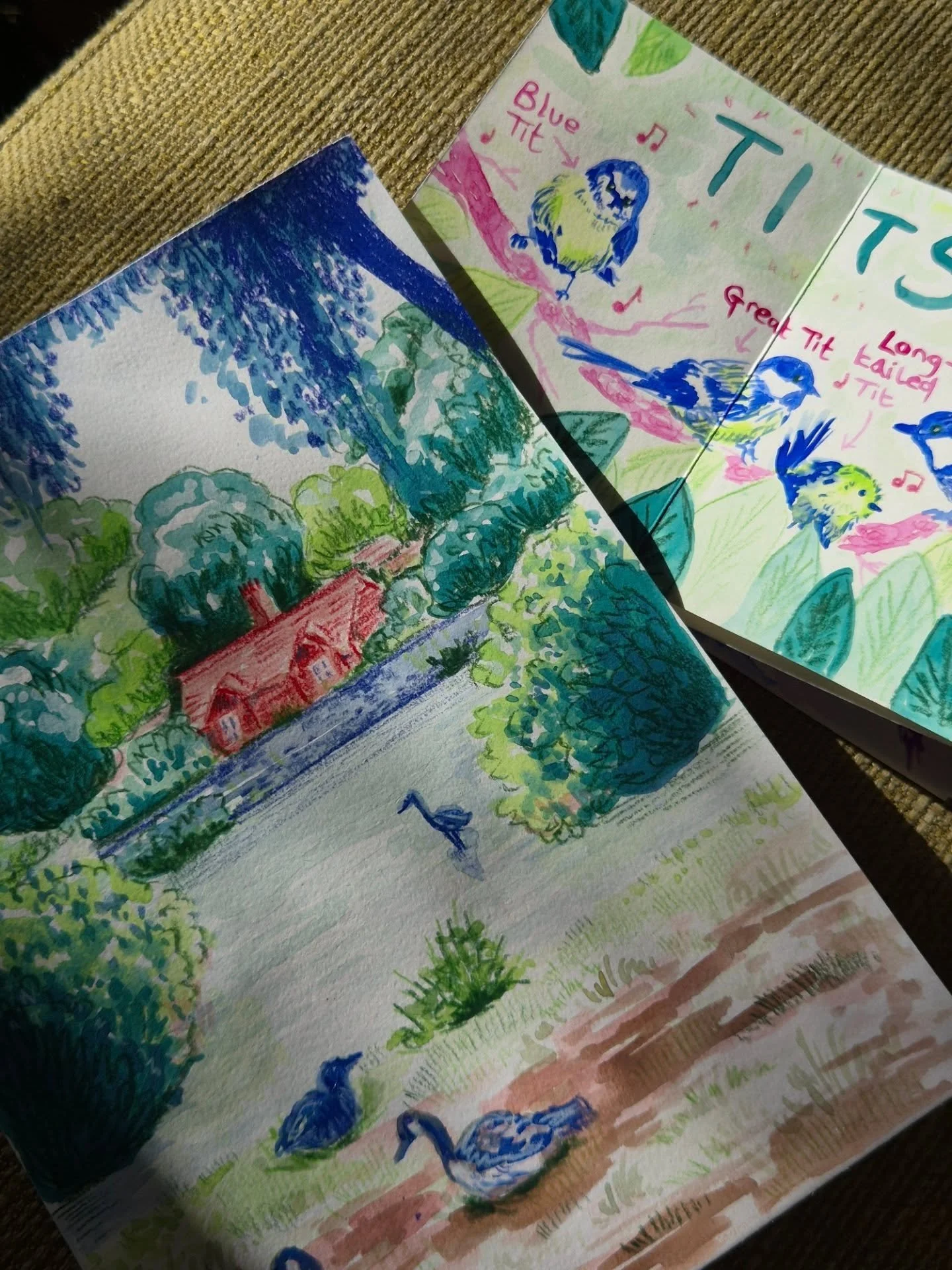 A painting and a little zine ❤️ working with gouache and coloured pencils.

#illustration #zine #birdart #gouache