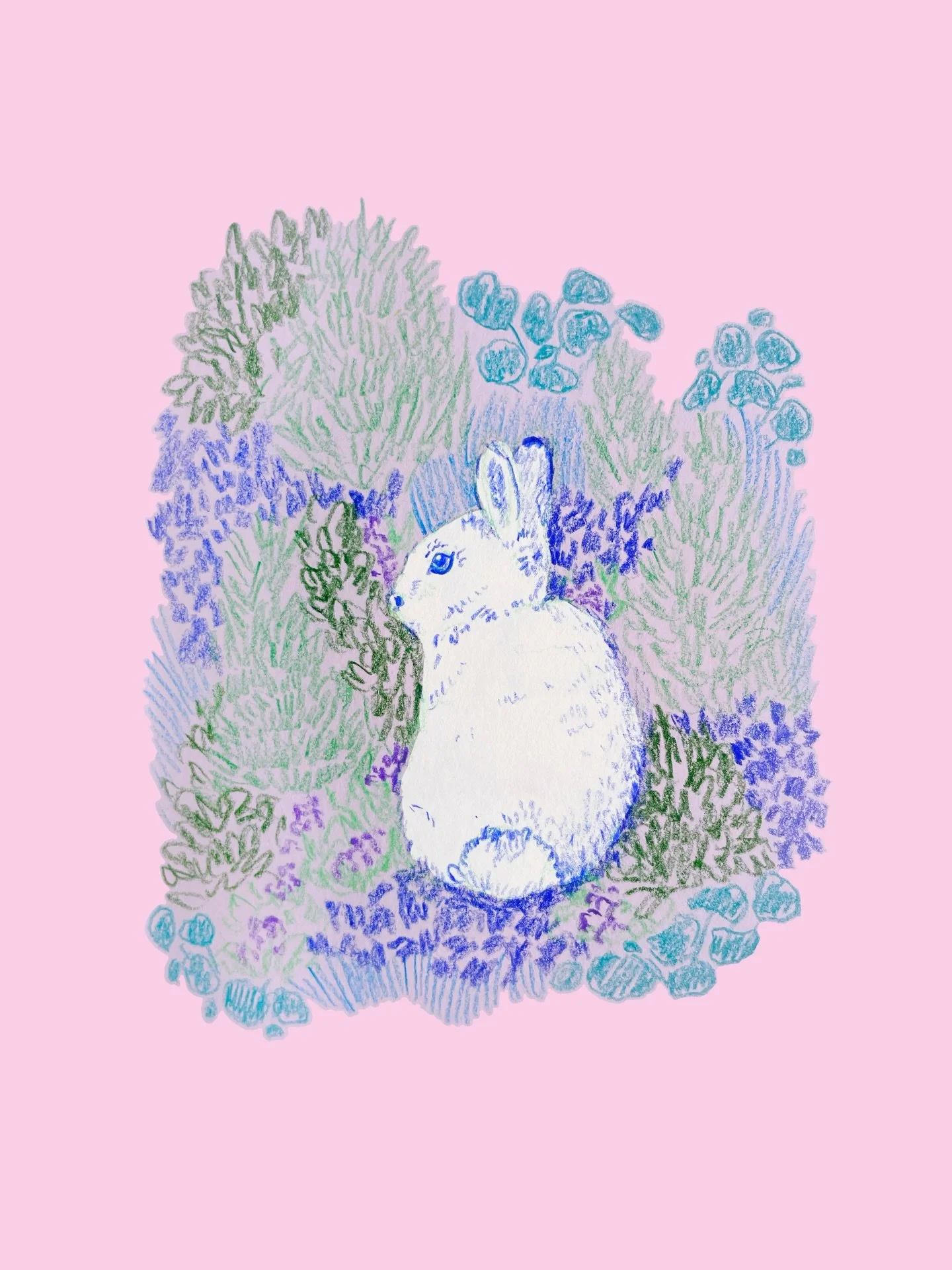 A soft place to land 🎶

Coloured pencils and Procreate. 

#rabbit #animalart