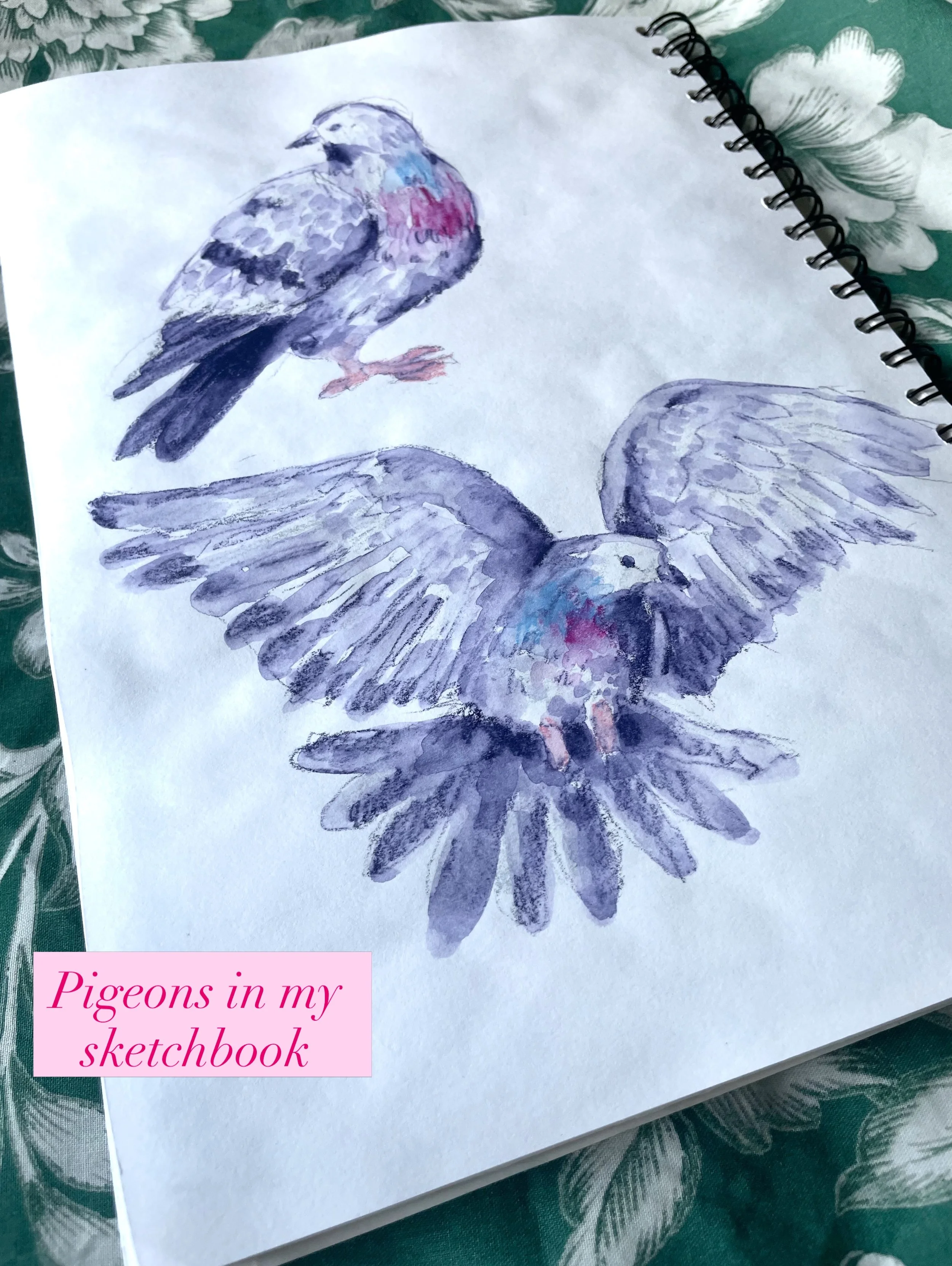 Hi everyone, how are you? I&rsquo;m here to show you some pigeons. Be nice to pigeons, they live here too. 

@carandache Neocolor II 

#birdart #sketchbook