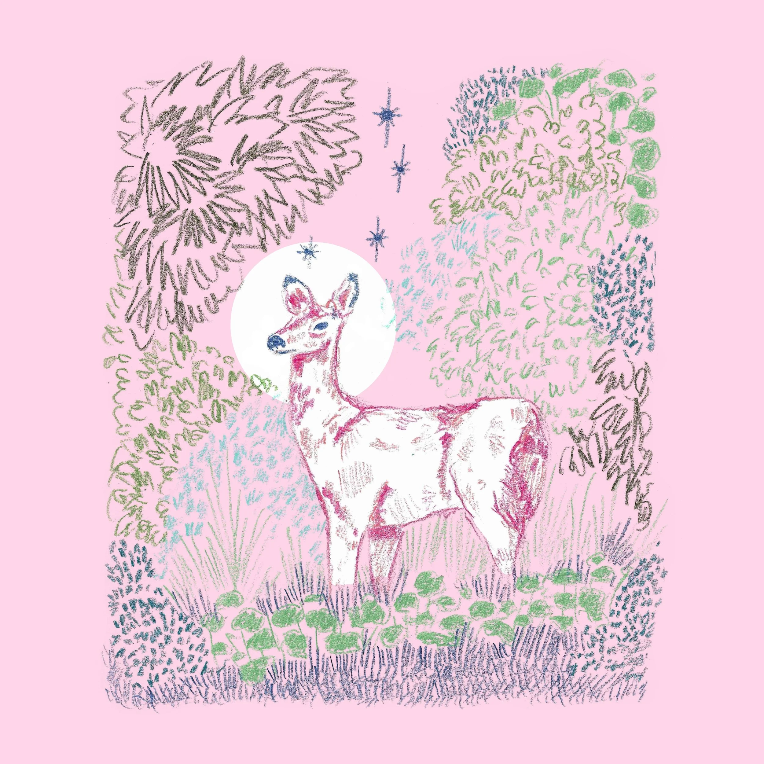 A deer in the moonlight. Right on time for the eclipse. 

Made with @carandache @adobecreativecloud 

#illustration #deer #forest #carandacheluminance