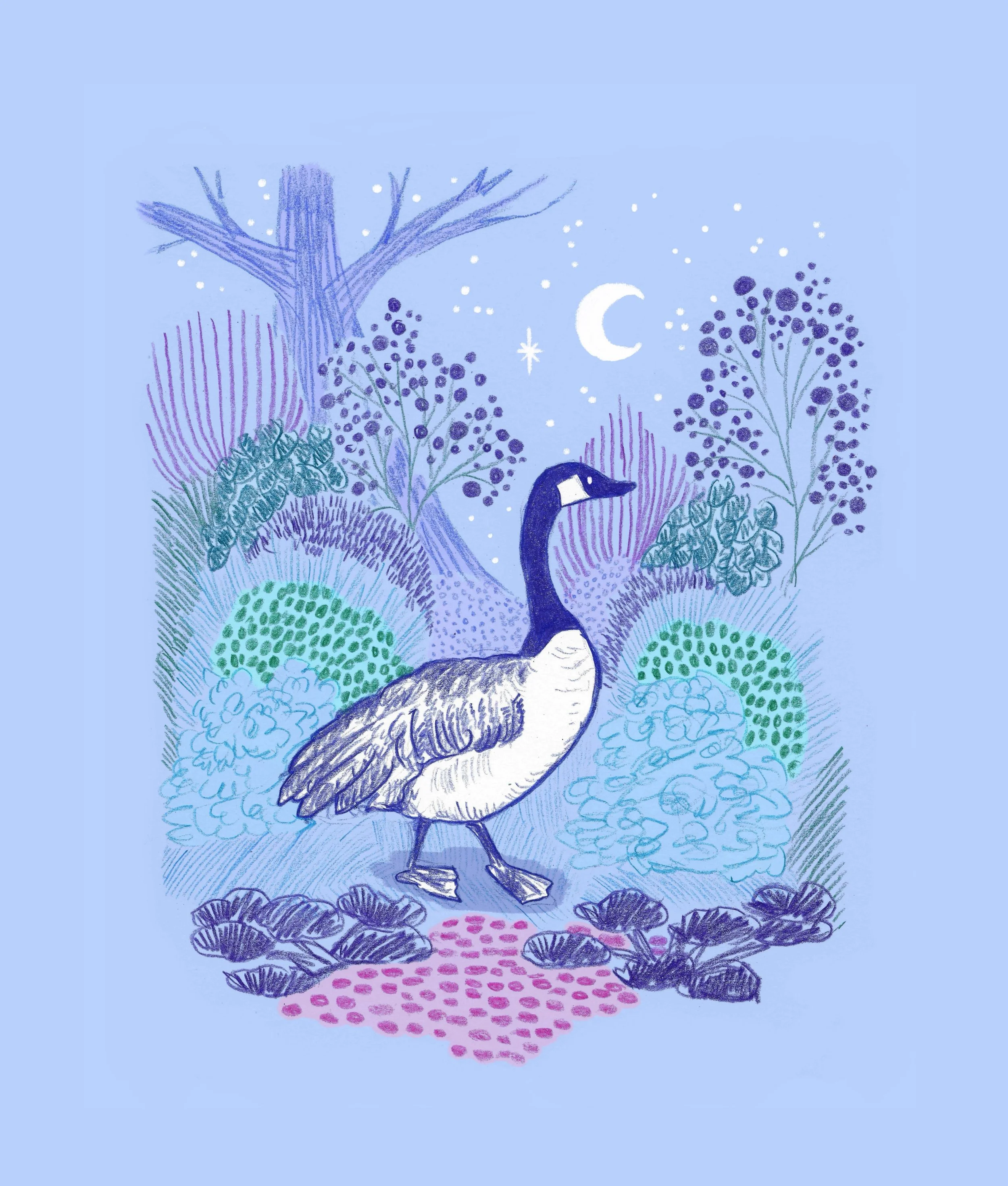 A night time stroll under the moon and stars. It may be dark but you can just about see the way if you trust yourself.

I&rsquo;m working on some other artworks at the moment but this was a sketchbook drawing I liked enough to turn it into a piece. C