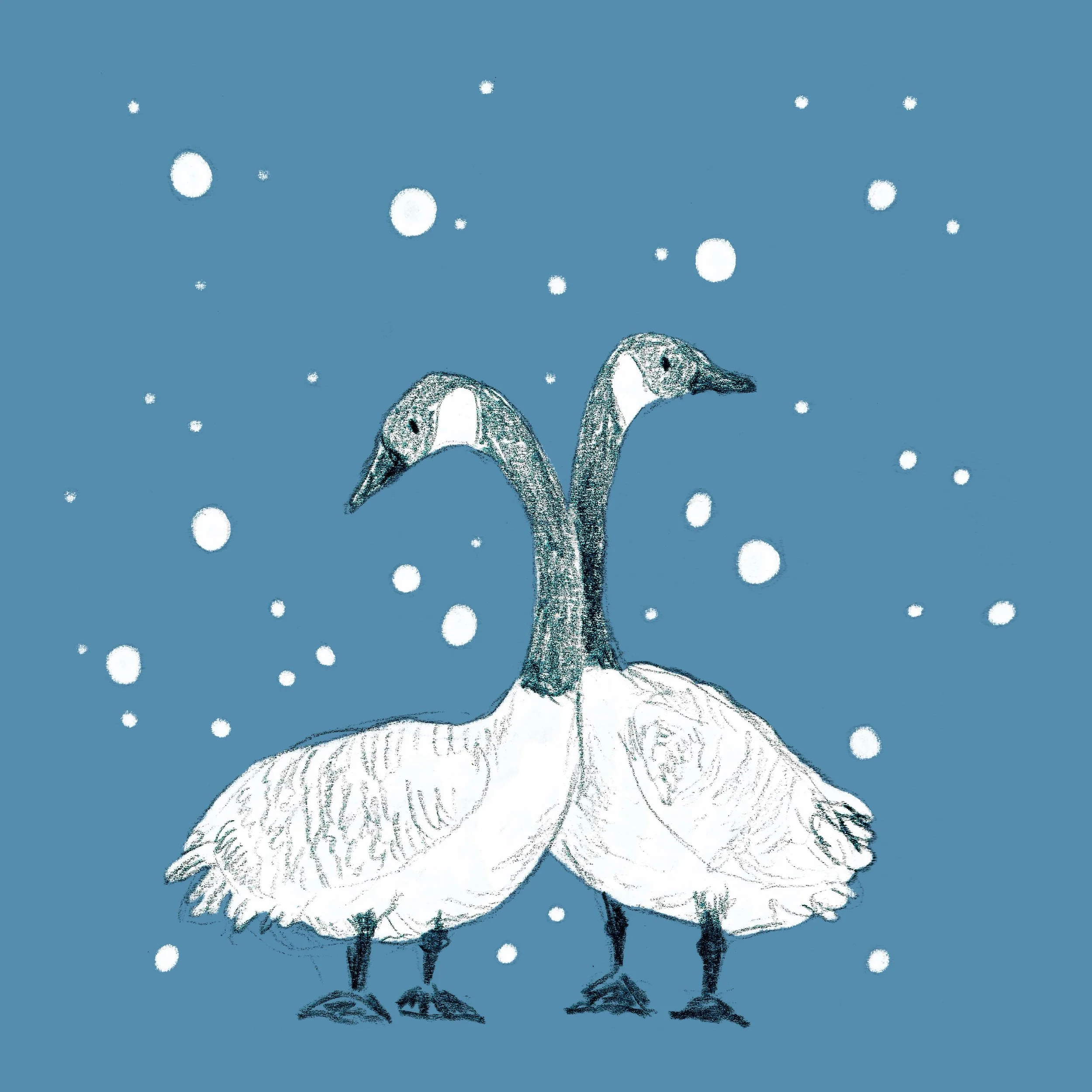 Two geese in the snow ❄️ 

Look at these guys, wondering what is falling from the sky. 

#canadiangeese #birdart