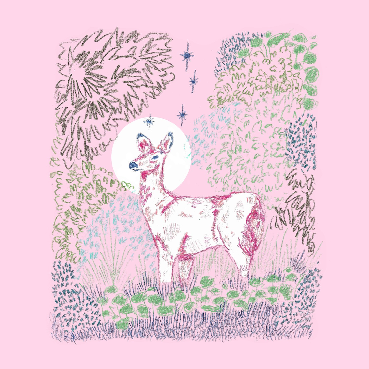 deer-web.jpg