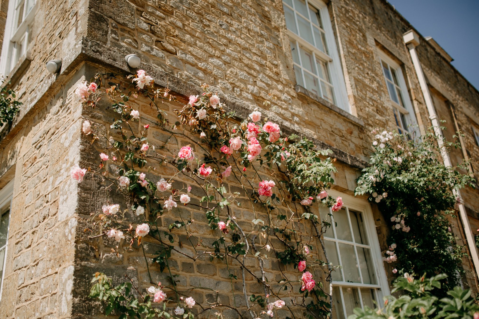 Pink flowers on the house at Woolbeding gardens photography