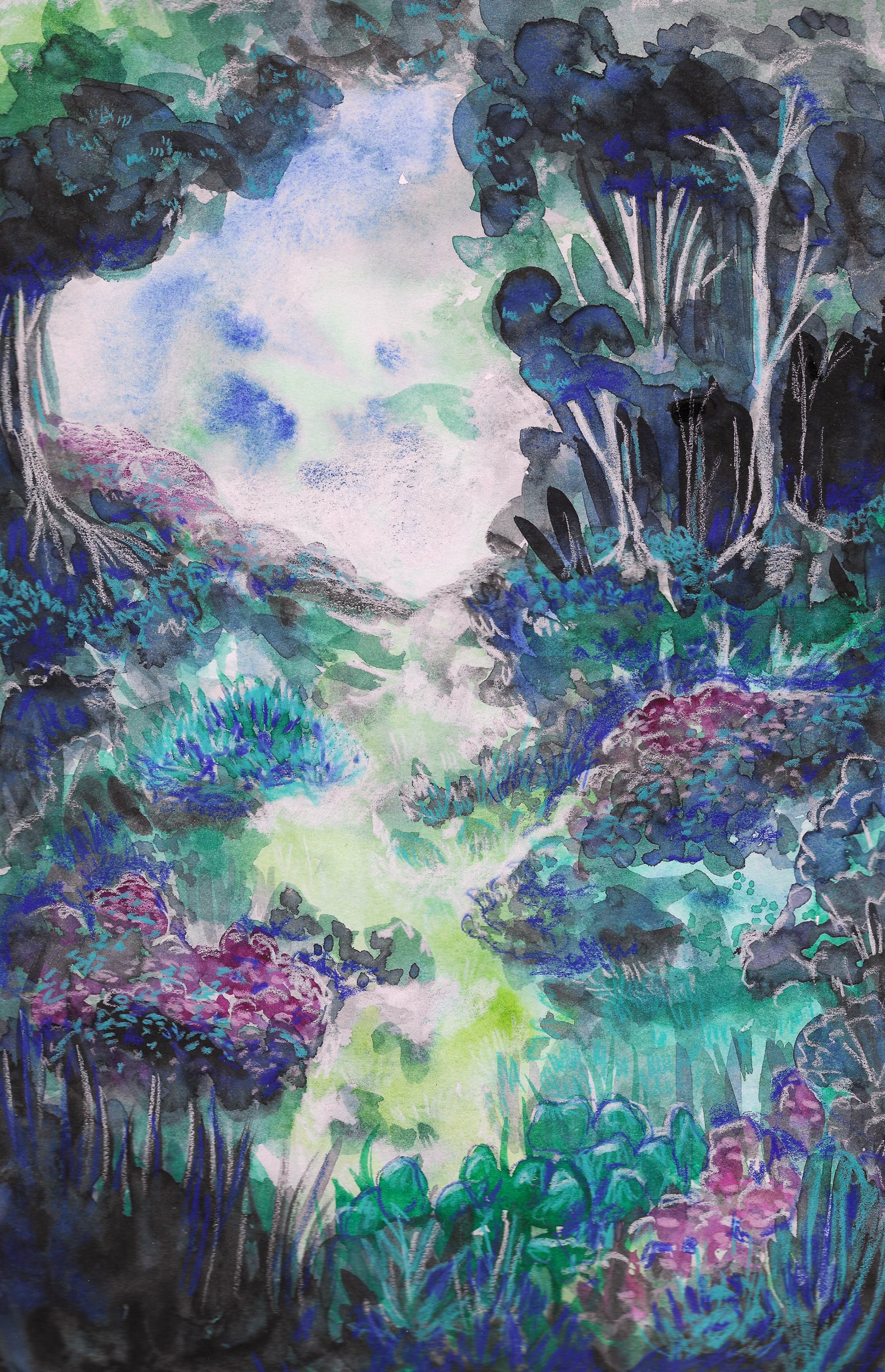 forest-web.jpg