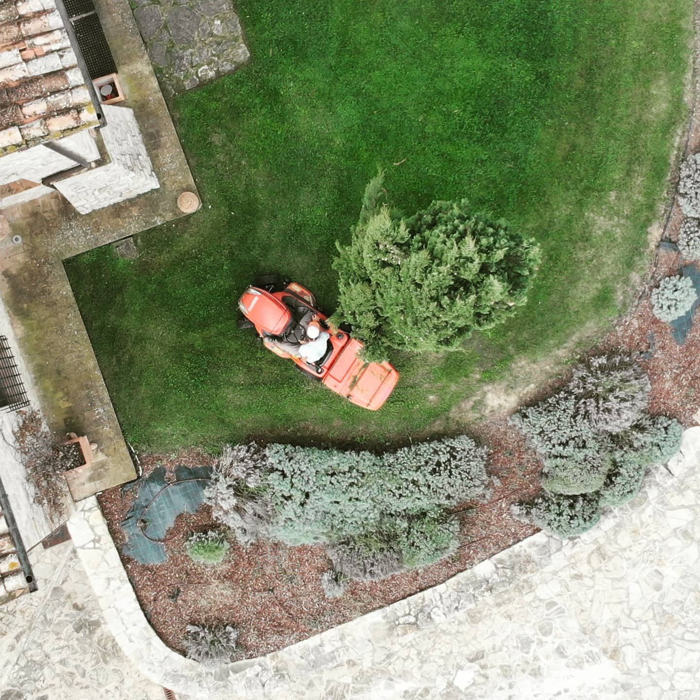 Manovrando spazi difficili durante il taglio del prato...
Negotiating a tight lawn mowing spot....
#theolive.tree #garden #gardenmaintenance #propertymanagement #hardwork #lawncare #kubota #kubotatractor