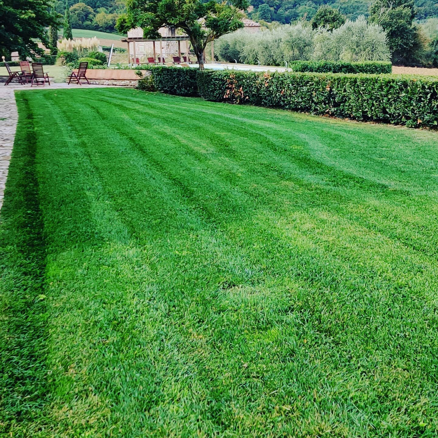 Dopo arieggiatura e concimazione, si vedono i risultati!
After aeration and fertilisation, our lawn shows its beautiful colour!!