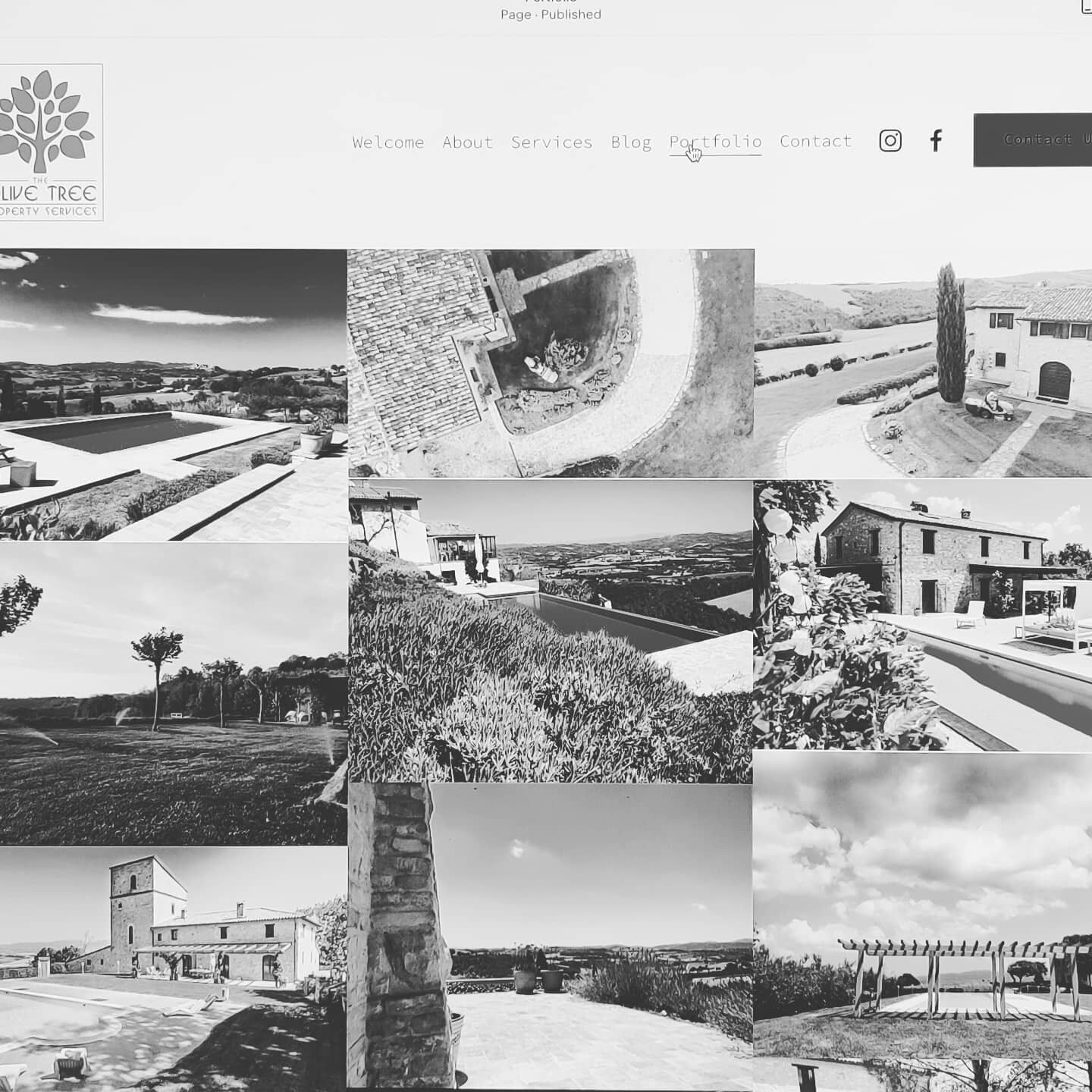 New year, new website!
Anno nuovo, sito nuovo!