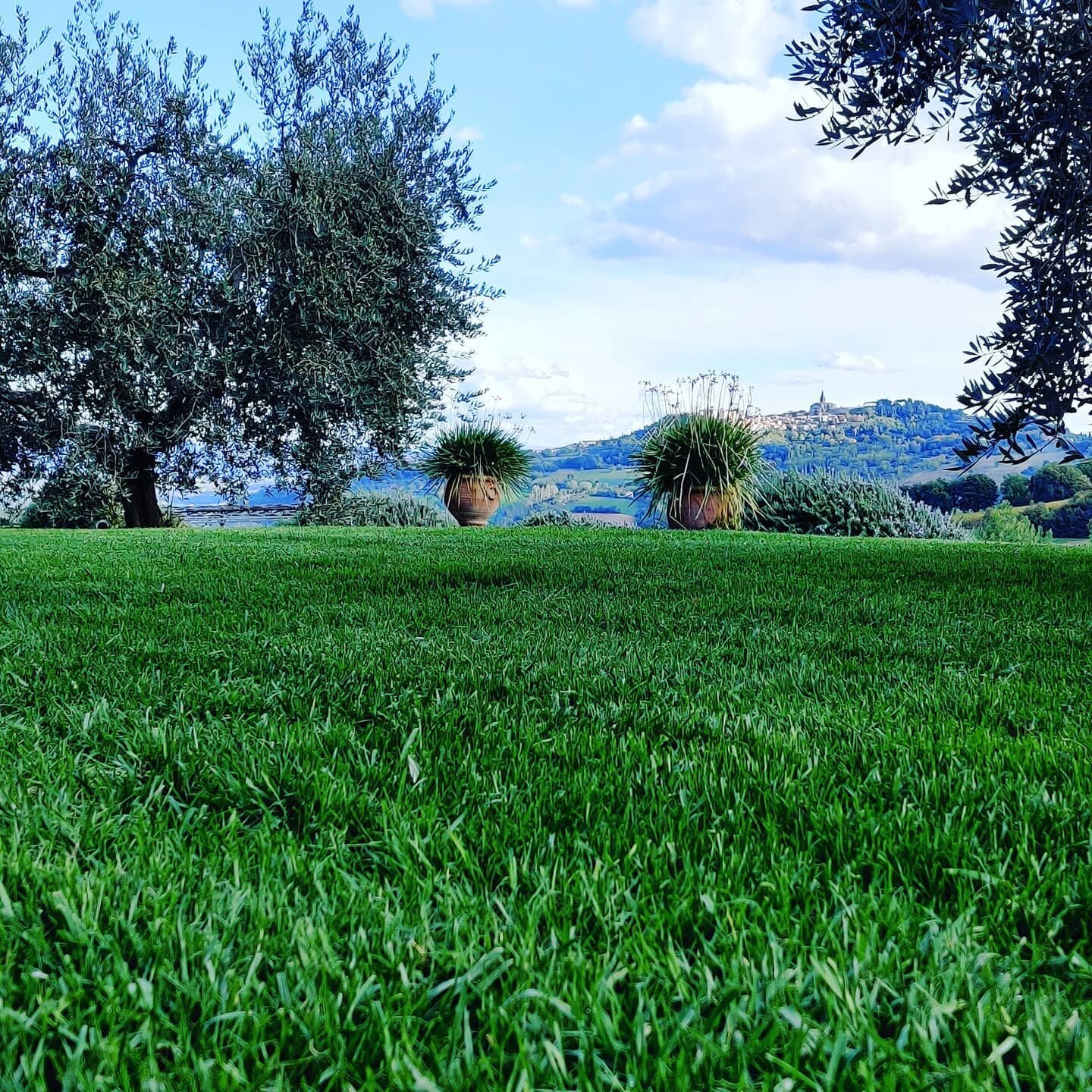 Dopo arieggiatura profonda, terriccio e risemina il vostro prato risplender&agrave;! La natura ci ripaga della fatica con questo tappeto soffice e verissimo.

After scarification, reseeding and fertilisation your lawn will shine too!
Nature rewards u