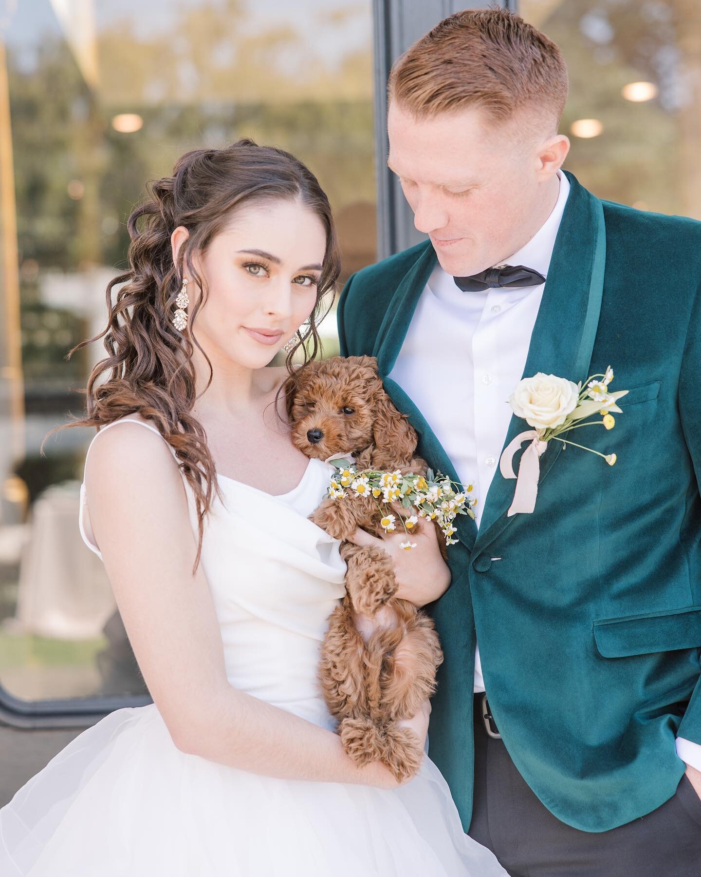 This cutie pie made an appearance on the internet today thanks to @aisleplanner for the beautiful feature. 
We loved putting this inspiration to life and having a little surprise pup join us. 

Photographer @tiffanymichelephotography 
Venue @perryhou
