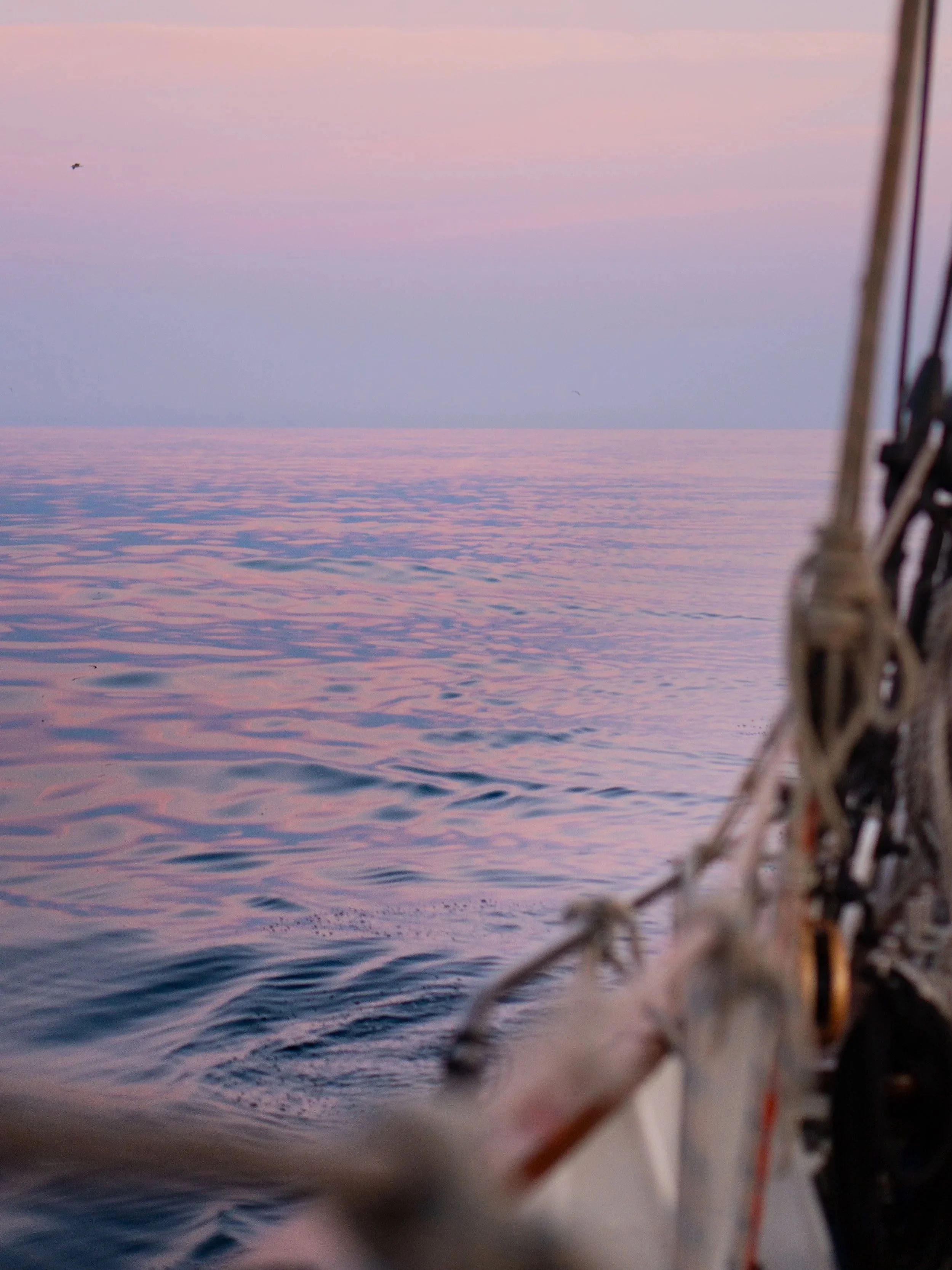 _DSC9641.jpg