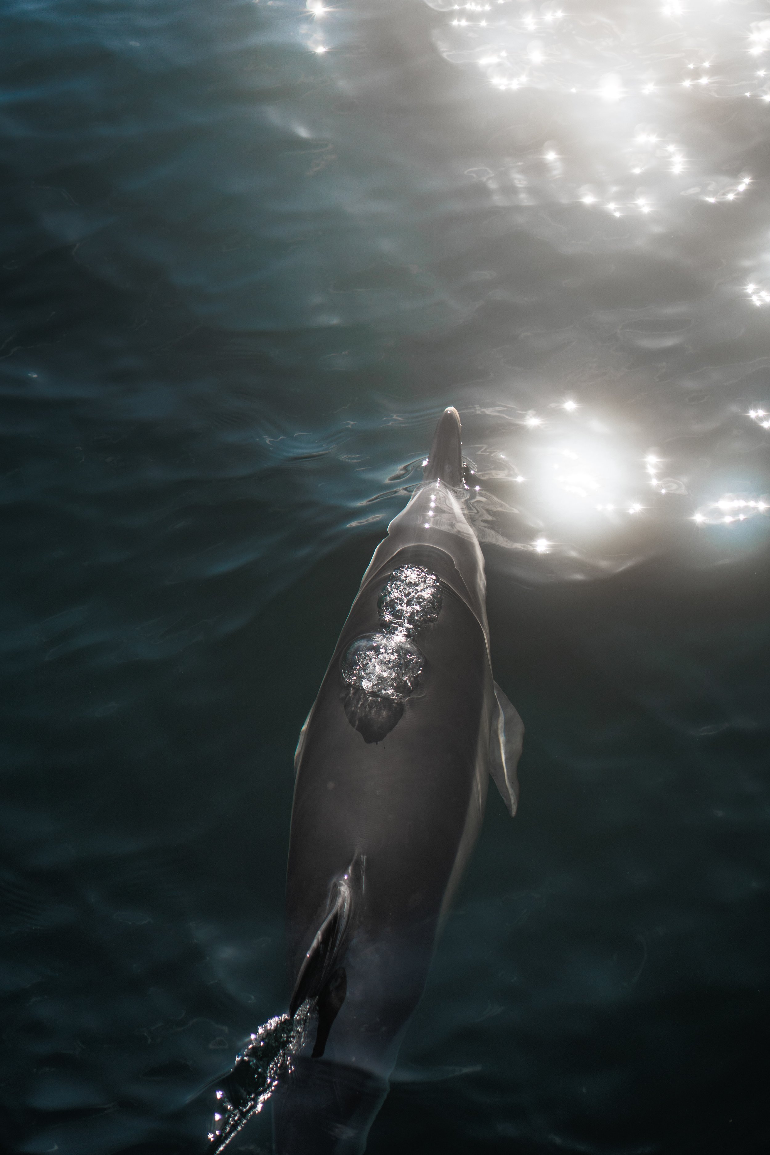 DSC04019.jpeg
