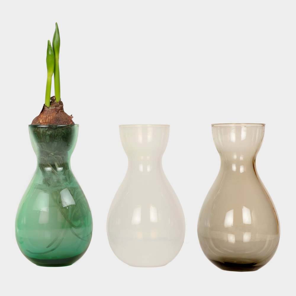 https://images.squarespace-cdn.com/content/v1/5ff5ad8960aa3e486998f529/1698291818595-JWIKL9V66WGDCNNTBALN/Clear-Bulb-Forcing-Vases-color-new+2.jpg?format=1000w