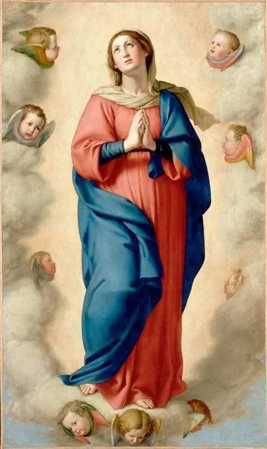 The Assumption of the  Blessed Virgin Mary w/ Fr. Michael Voithofer (August 2026)