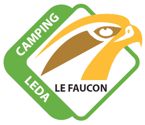 LE FAUCON