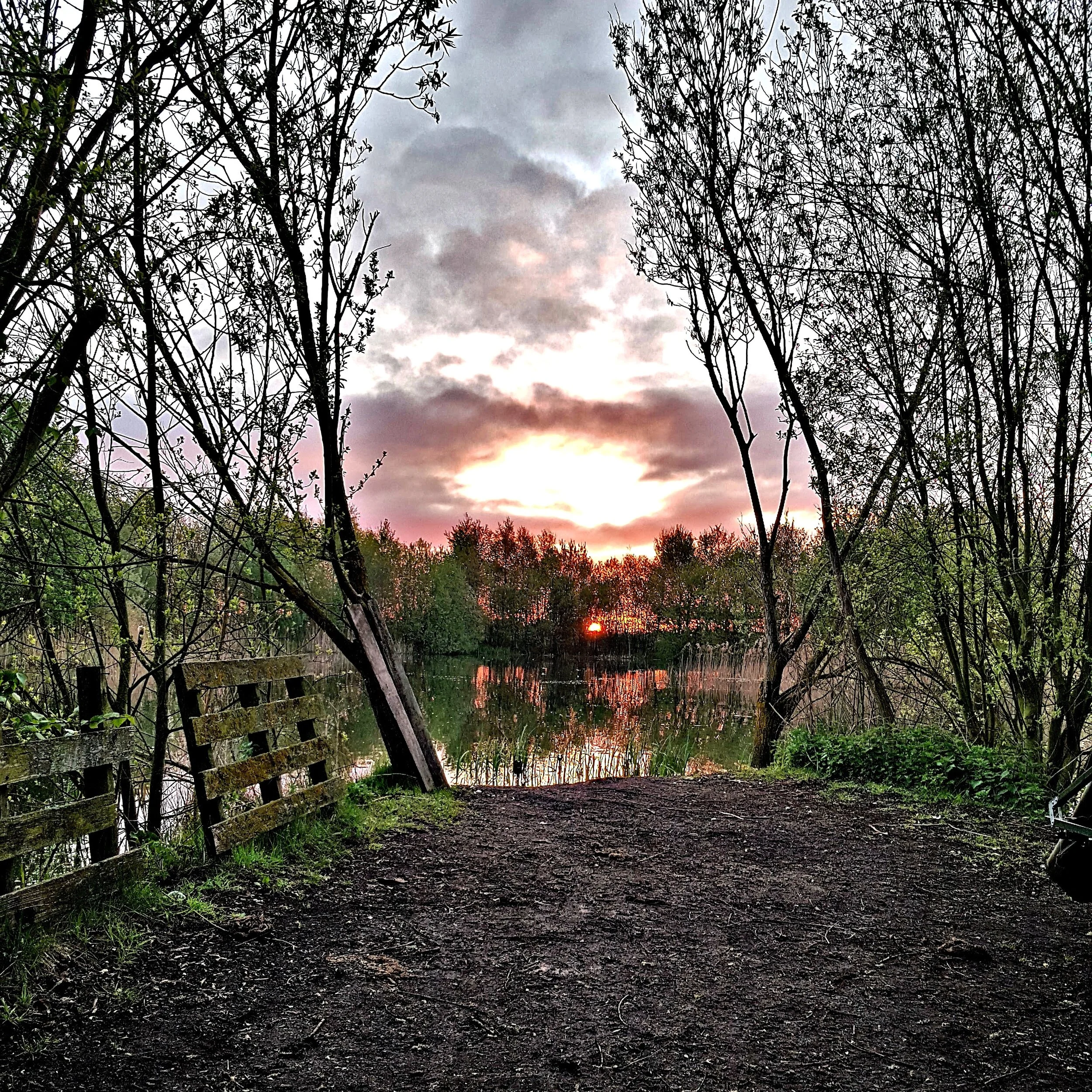 ALDERFENBG2jpeg.jpg