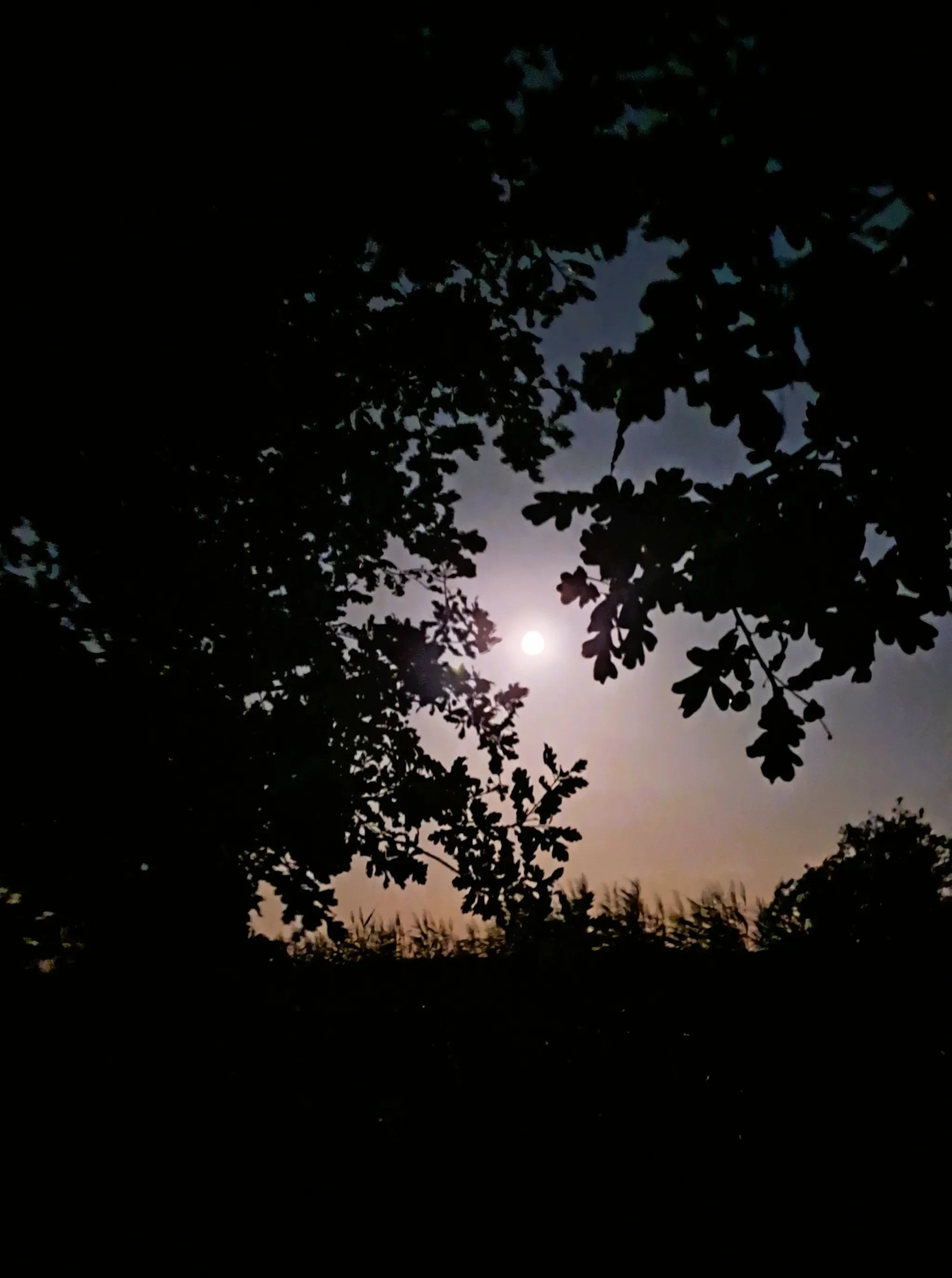 Fishing the sturgeon moon
