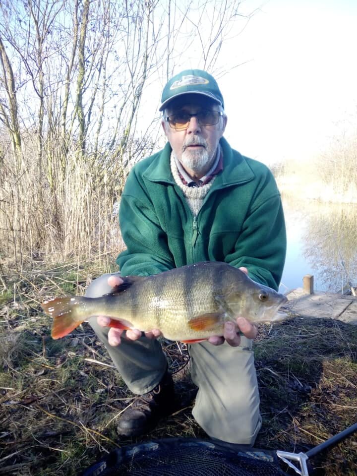 4lbperch.jpg