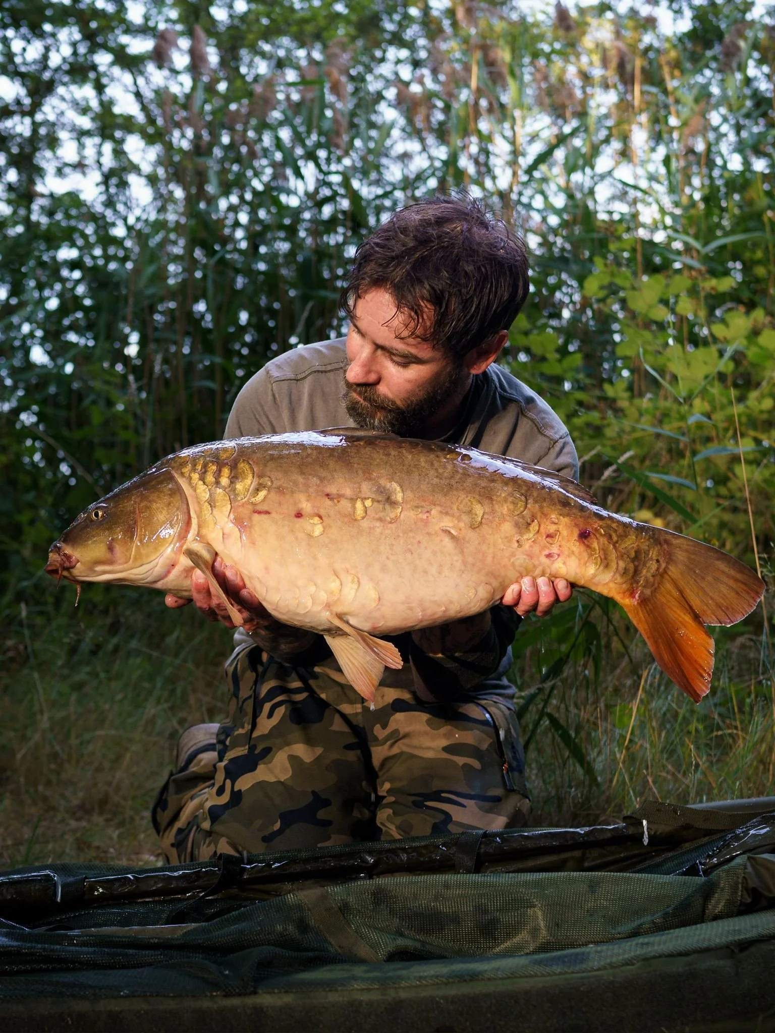 PHOTO-2026-01-04-16-23-33 2.jpg