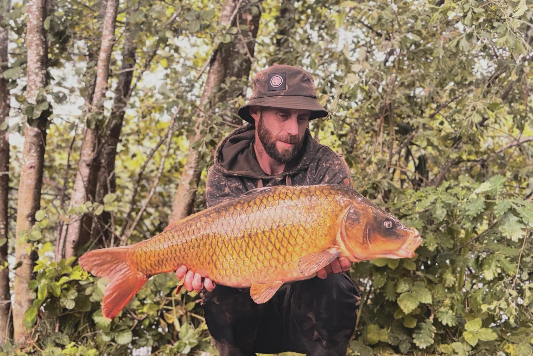 70eb258073c8893554007ce3988adcdd 2.JPEG