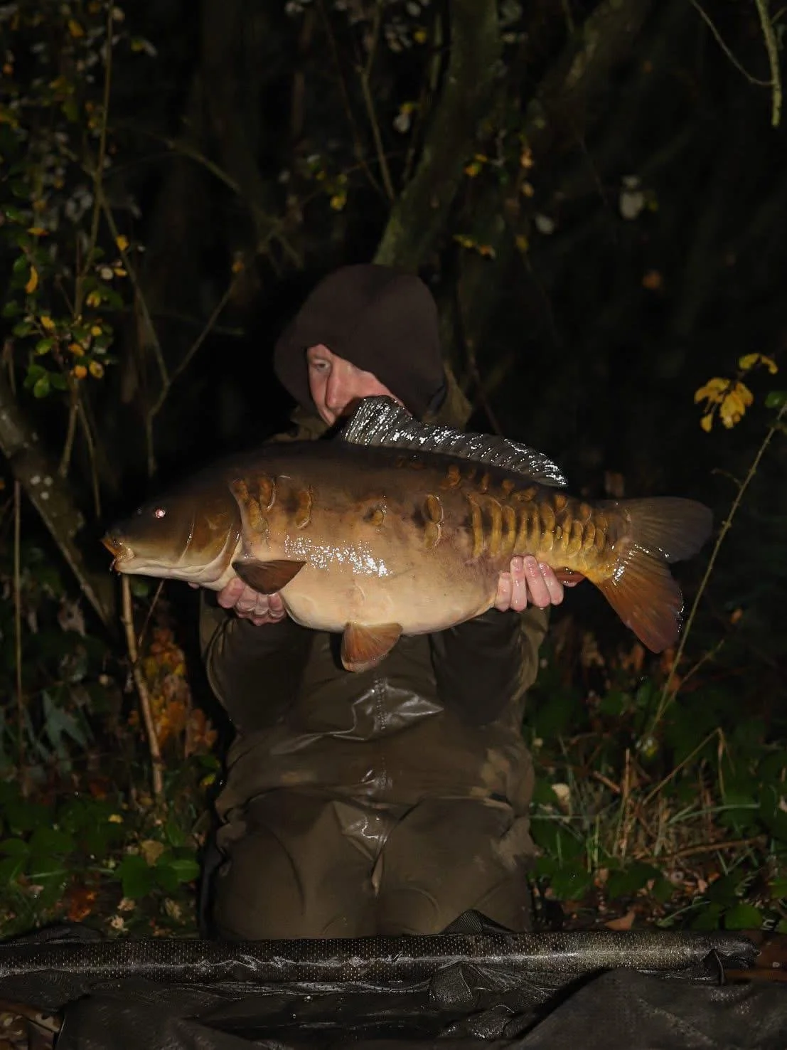 PHOTO-2026-01-04-16-20-12 5.jpg