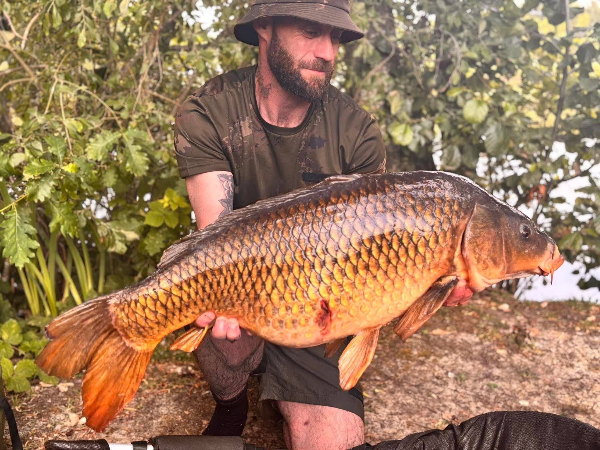 51554271c3d3d612a40e0cfade9b60a8 2.JPEG