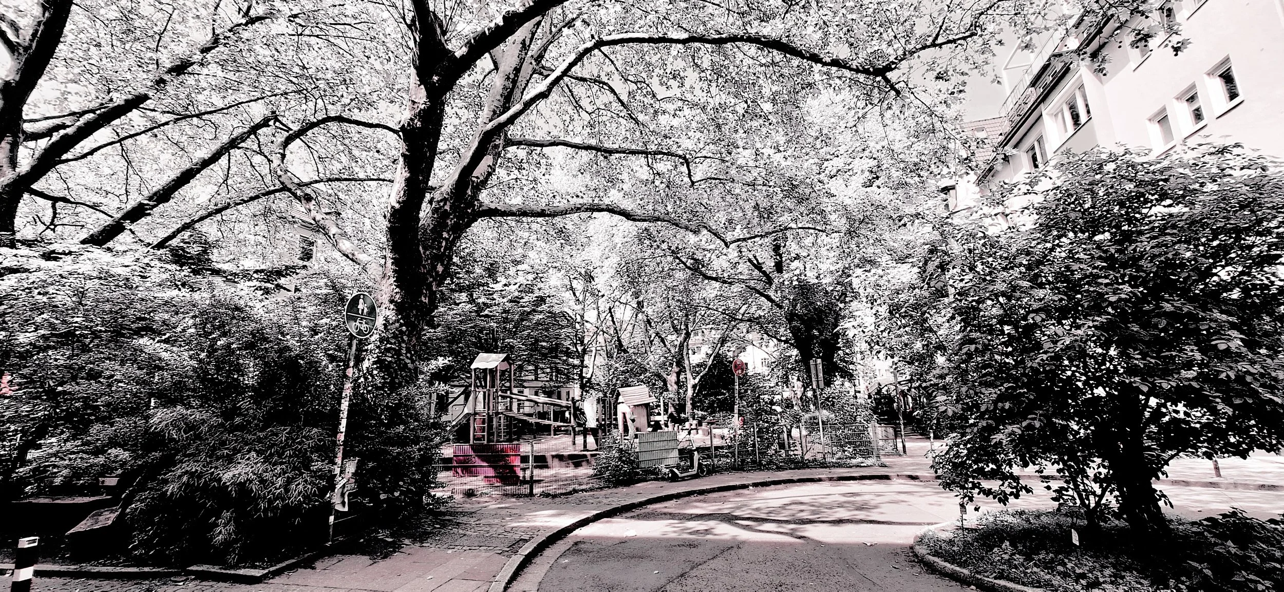 Essen Stadtgarten May 2026