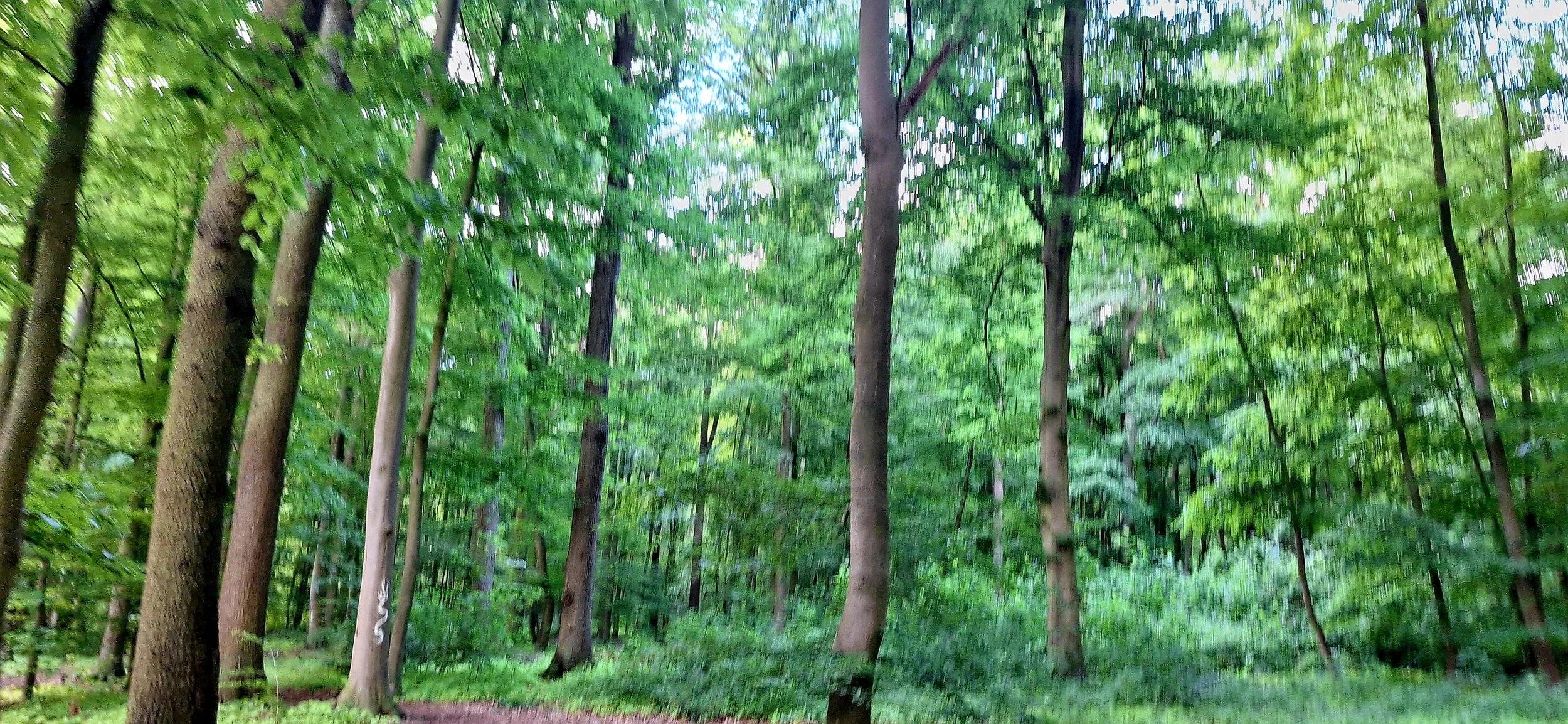 Meerbusch May 2026