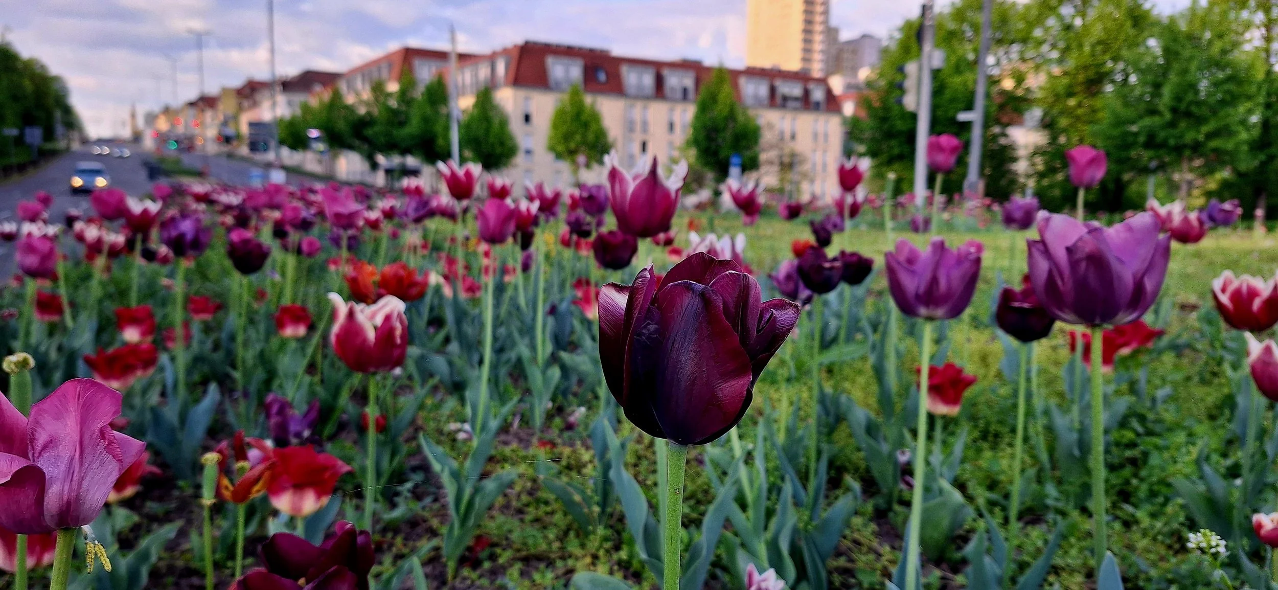 Ludwigsburg