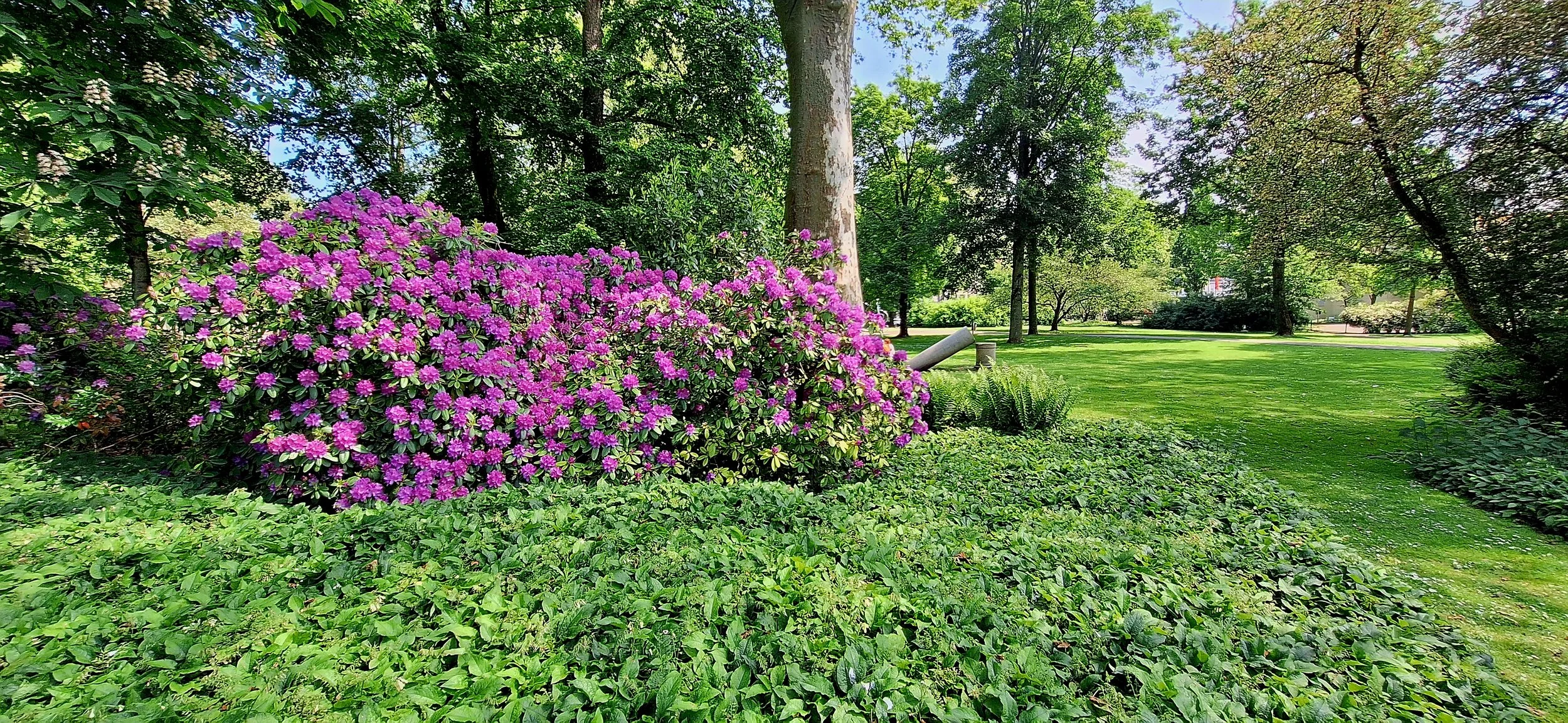 Essen Stadtgarten May 2026