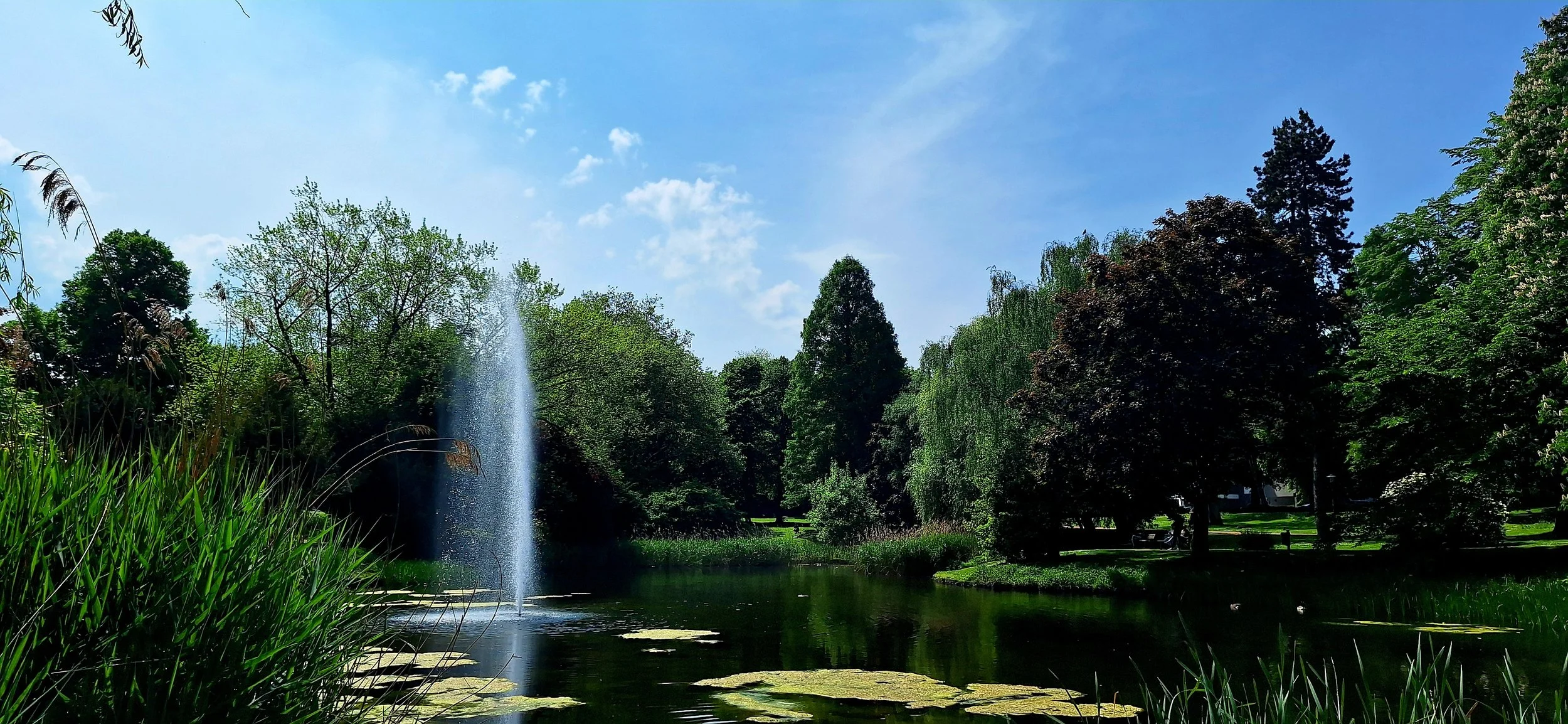 Essen Stadtgarten May 2026