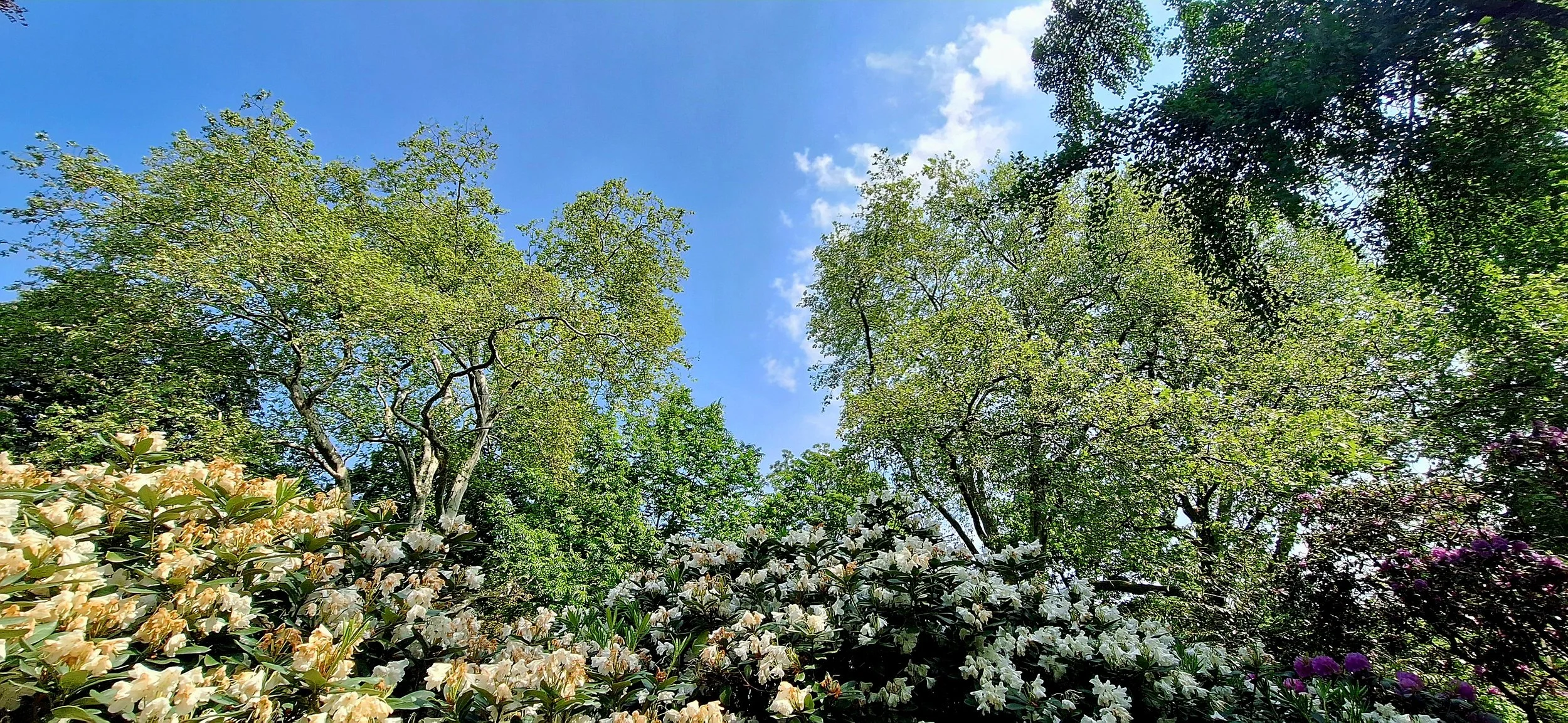 Essen Stadtgarten May 2026