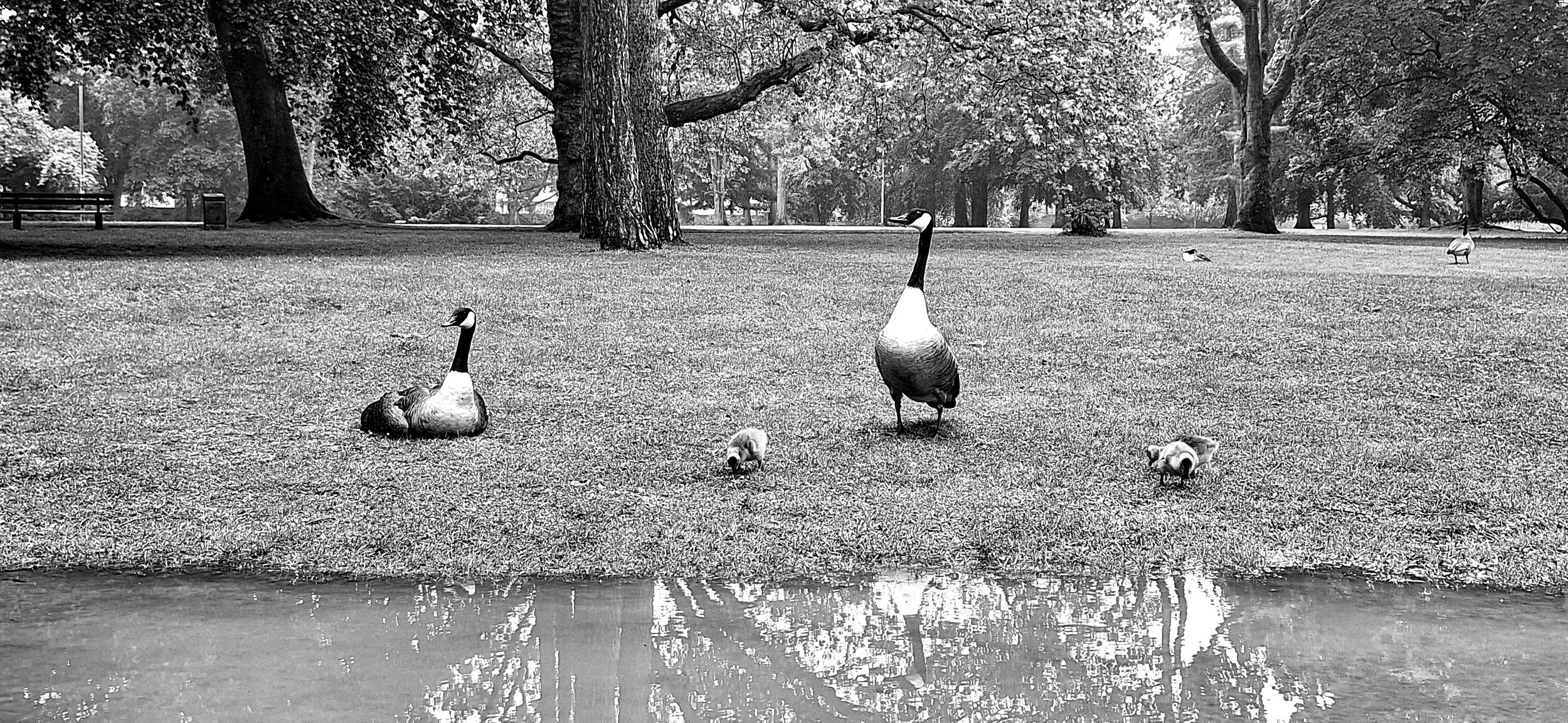 Moers Stadtpark