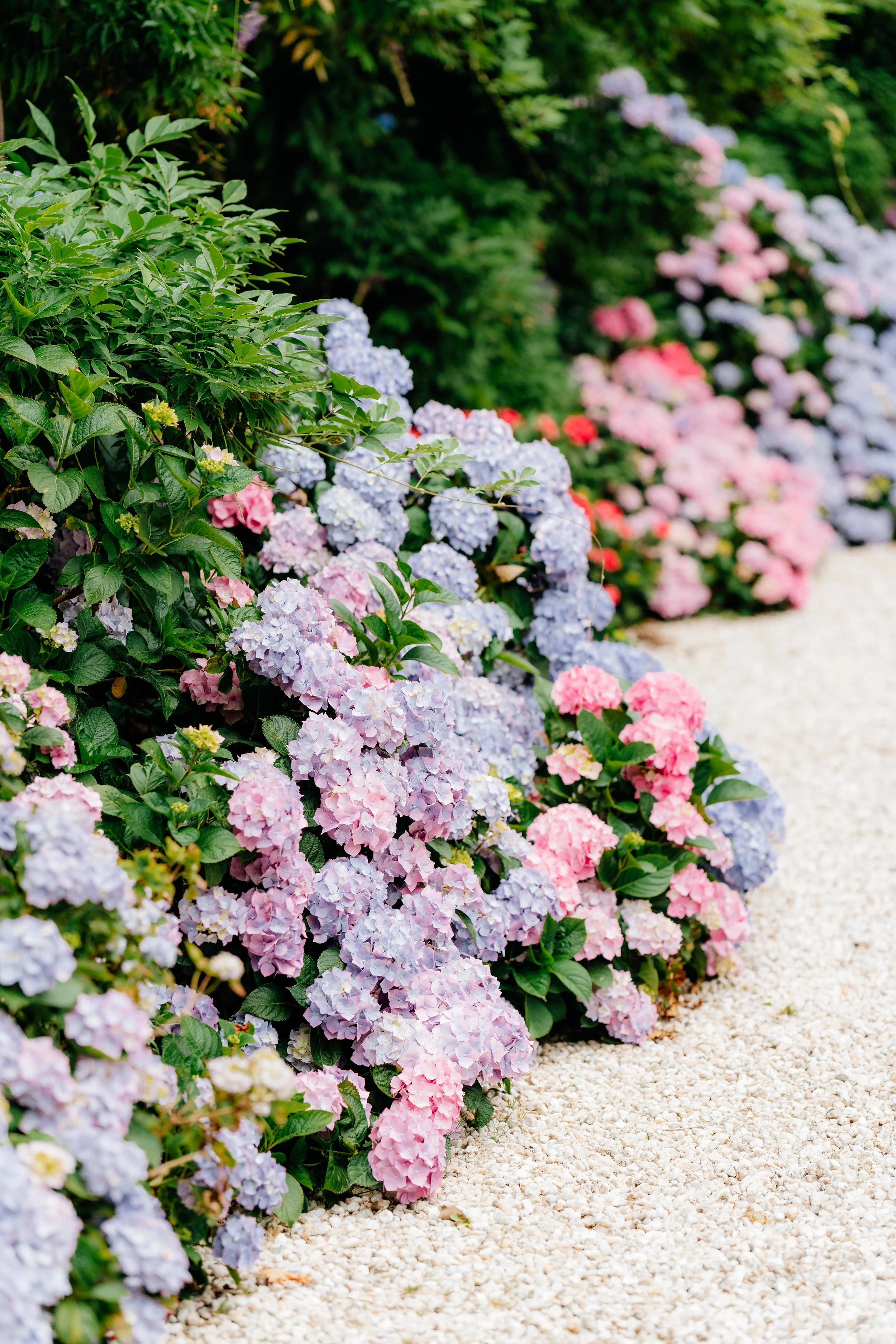 Marion & Benoît-294.jpg