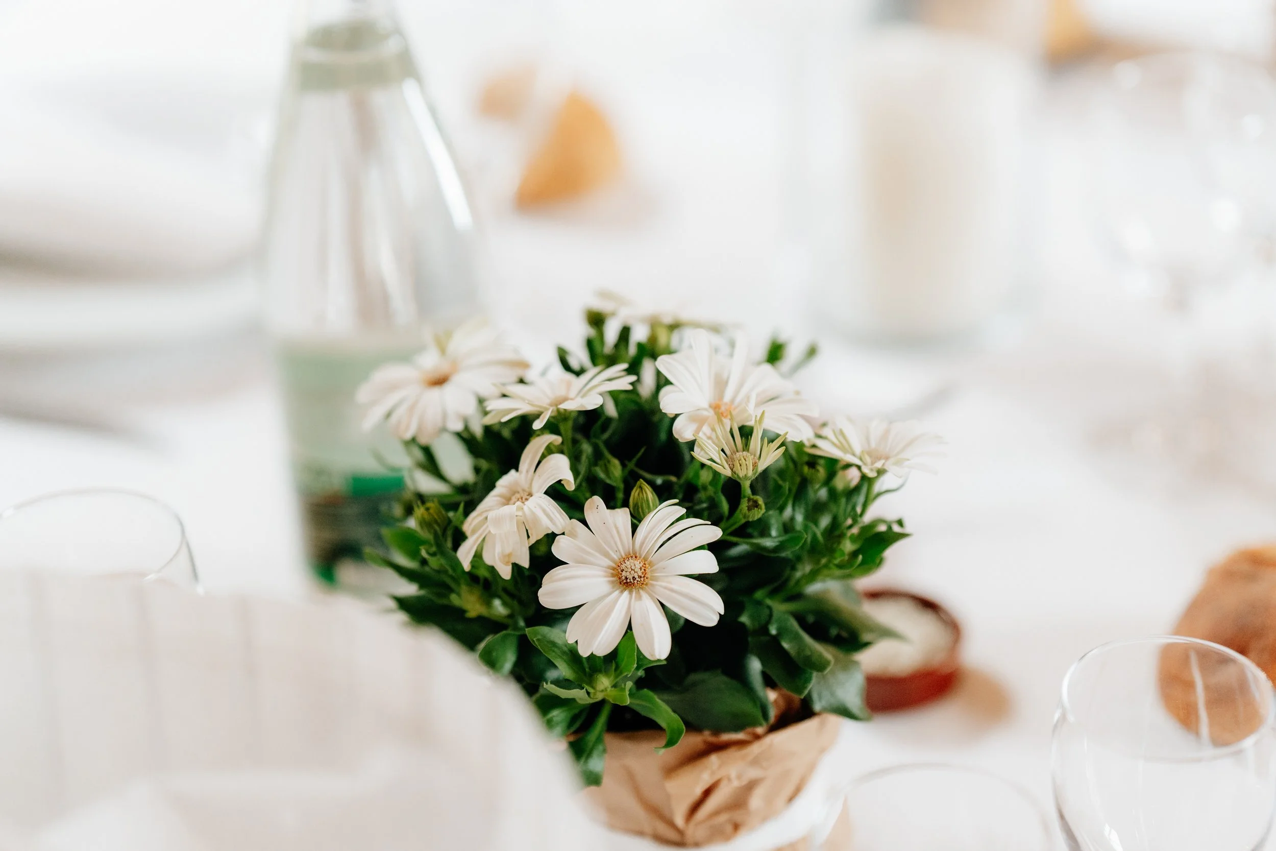 Marion & Benoît-473.jpg