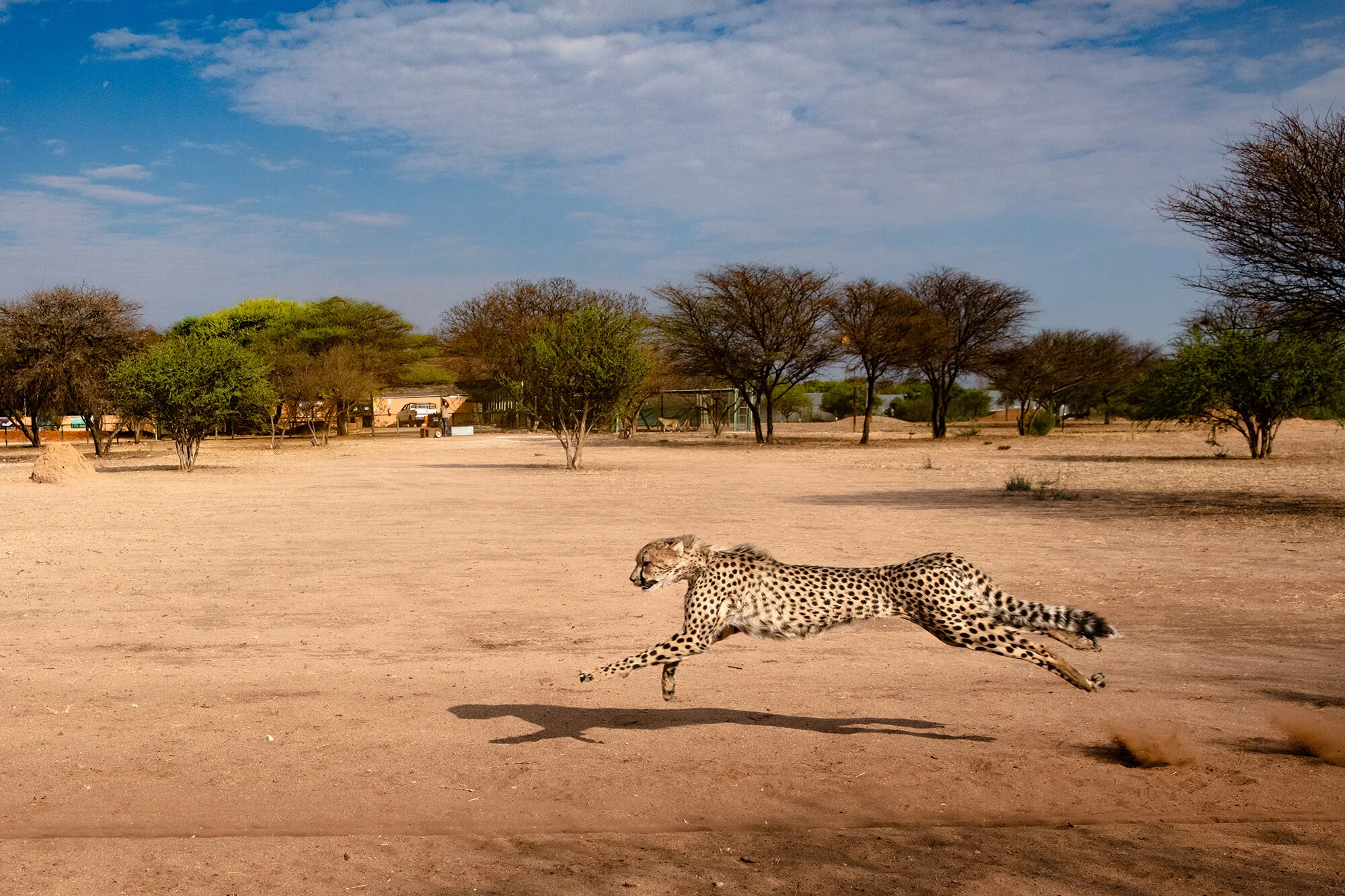 Experience Wildlife