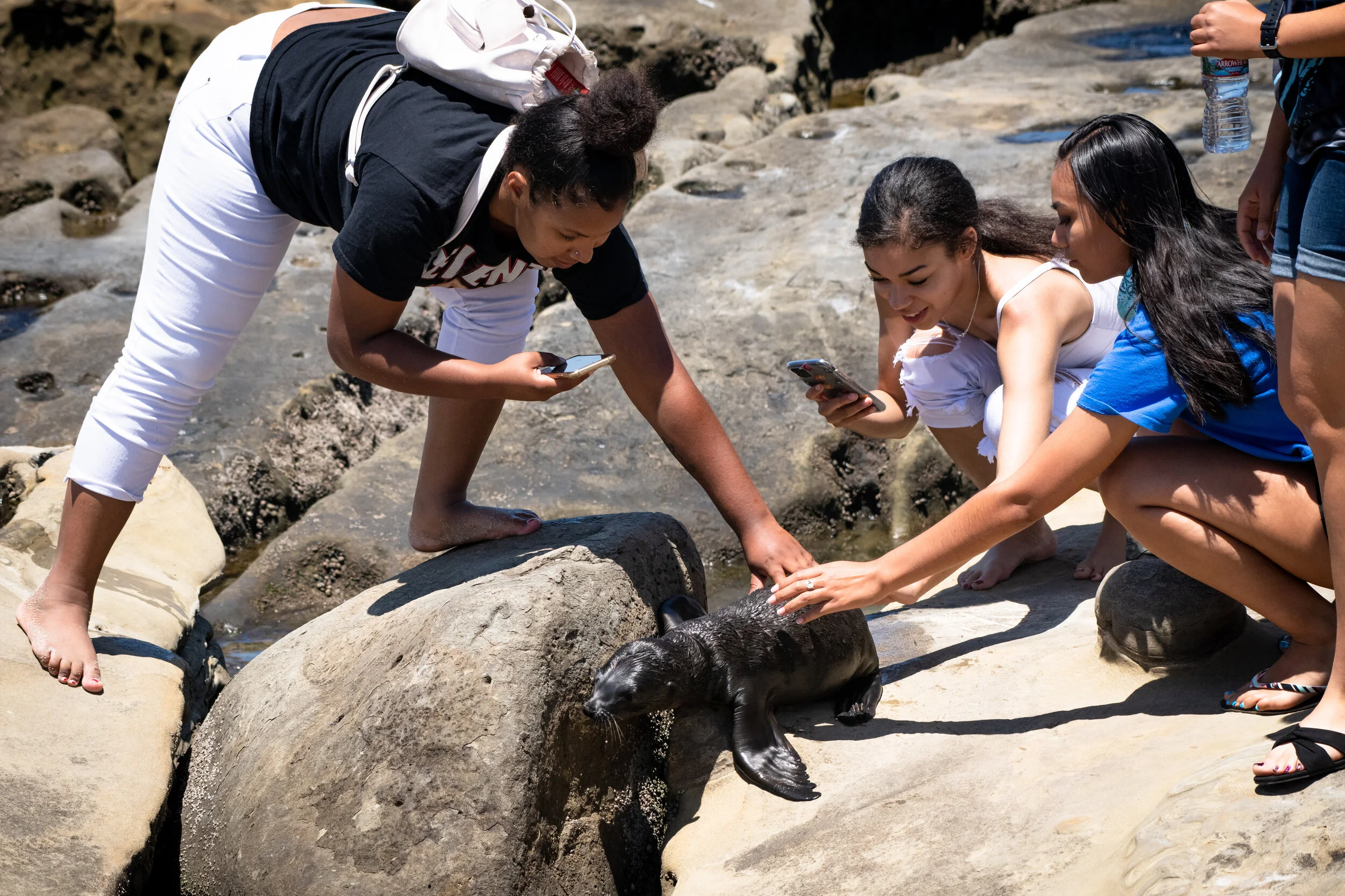 Photo places in conservation photography contest