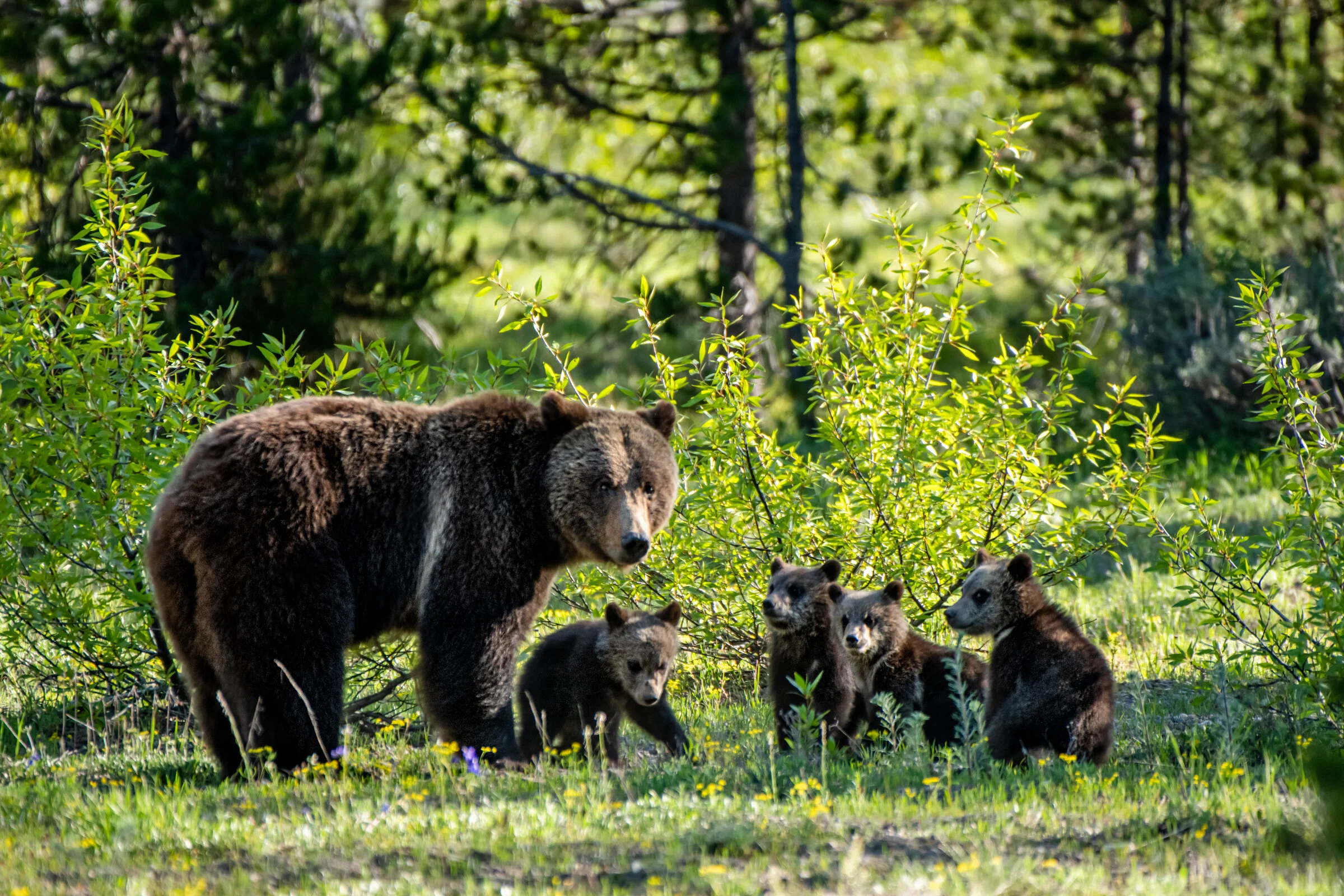 0883 All in the Family.JPG