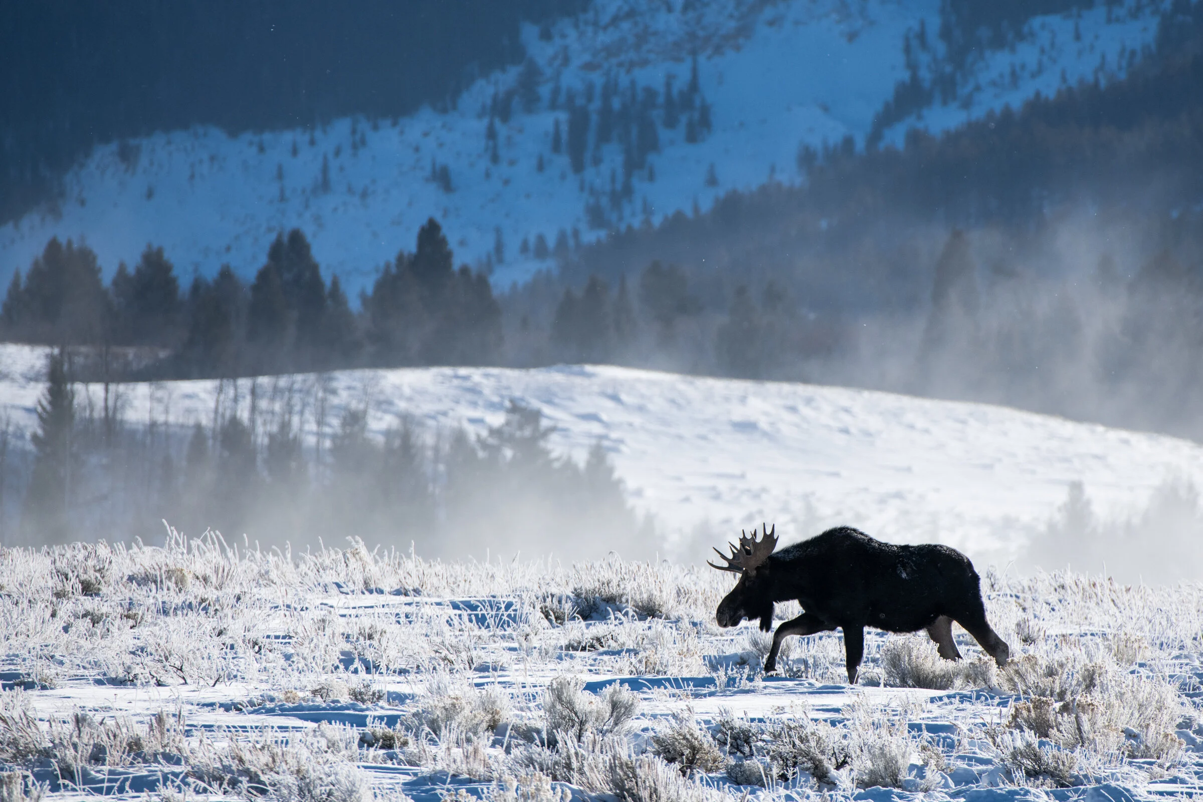 0730 Through the Mist.JPG