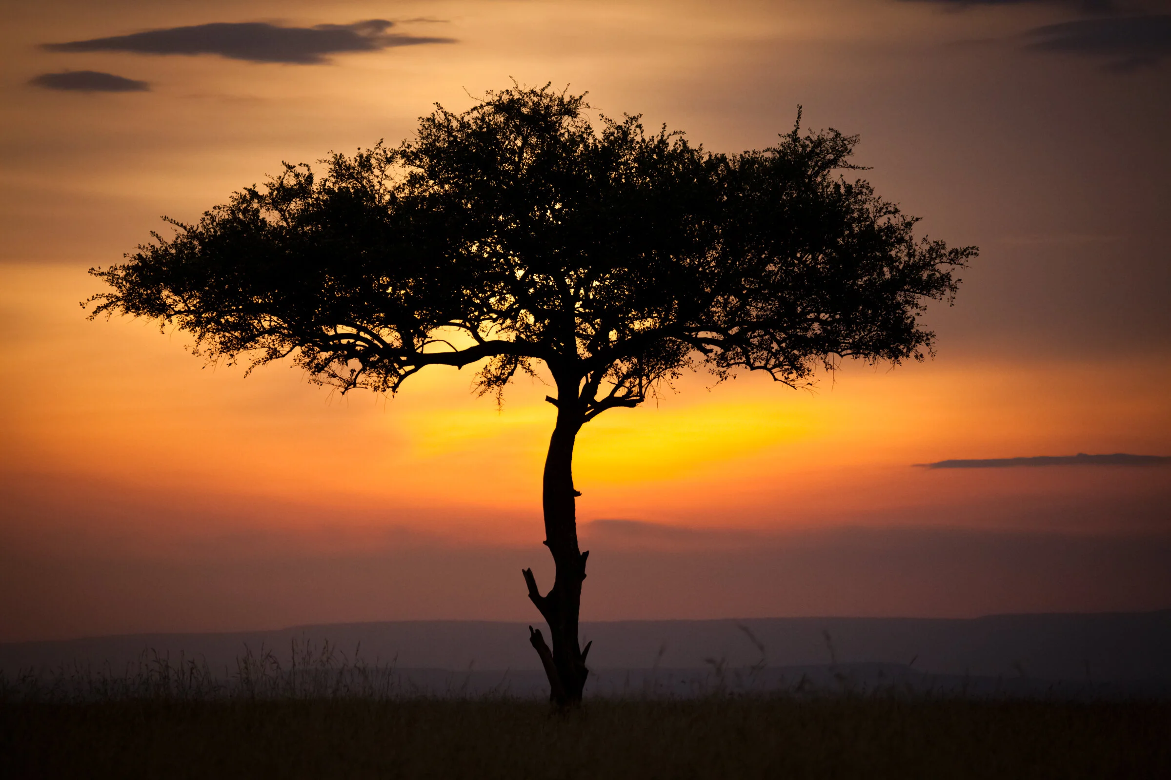 0326 This is Africa.JPG