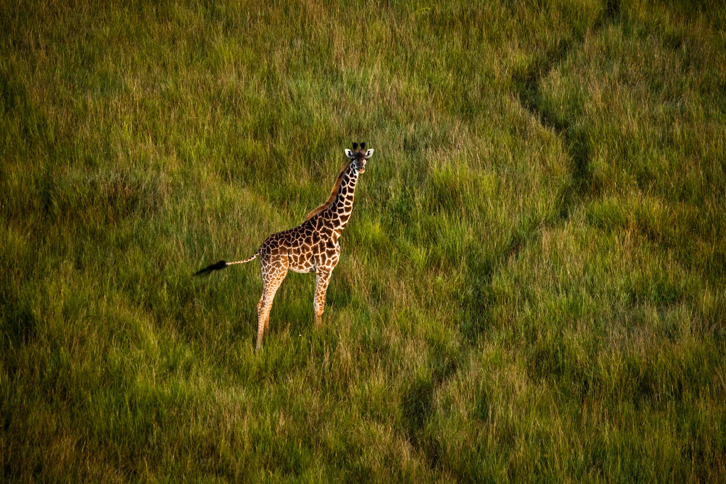 0314 View from Above.JPG